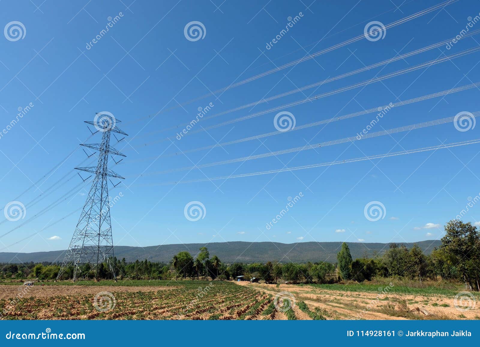 The power line pass the way in farm in Thailand. The electric power line pass the way on manioc farm and pass the mountain this place living in Manchakiri district, Khon kaen, Thailand