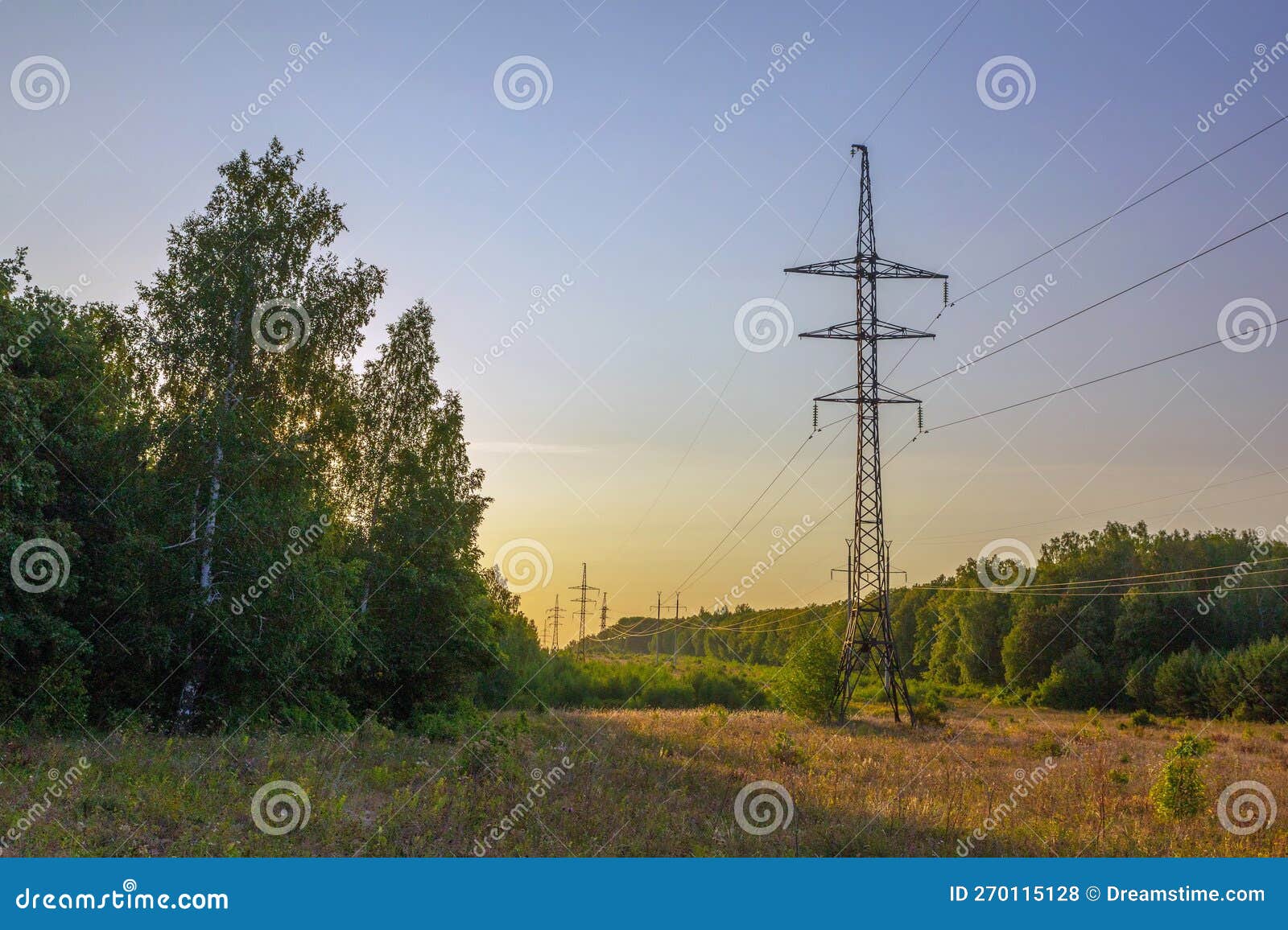 Power Line Passes through a Clearing in the Forest Stock Photo Image