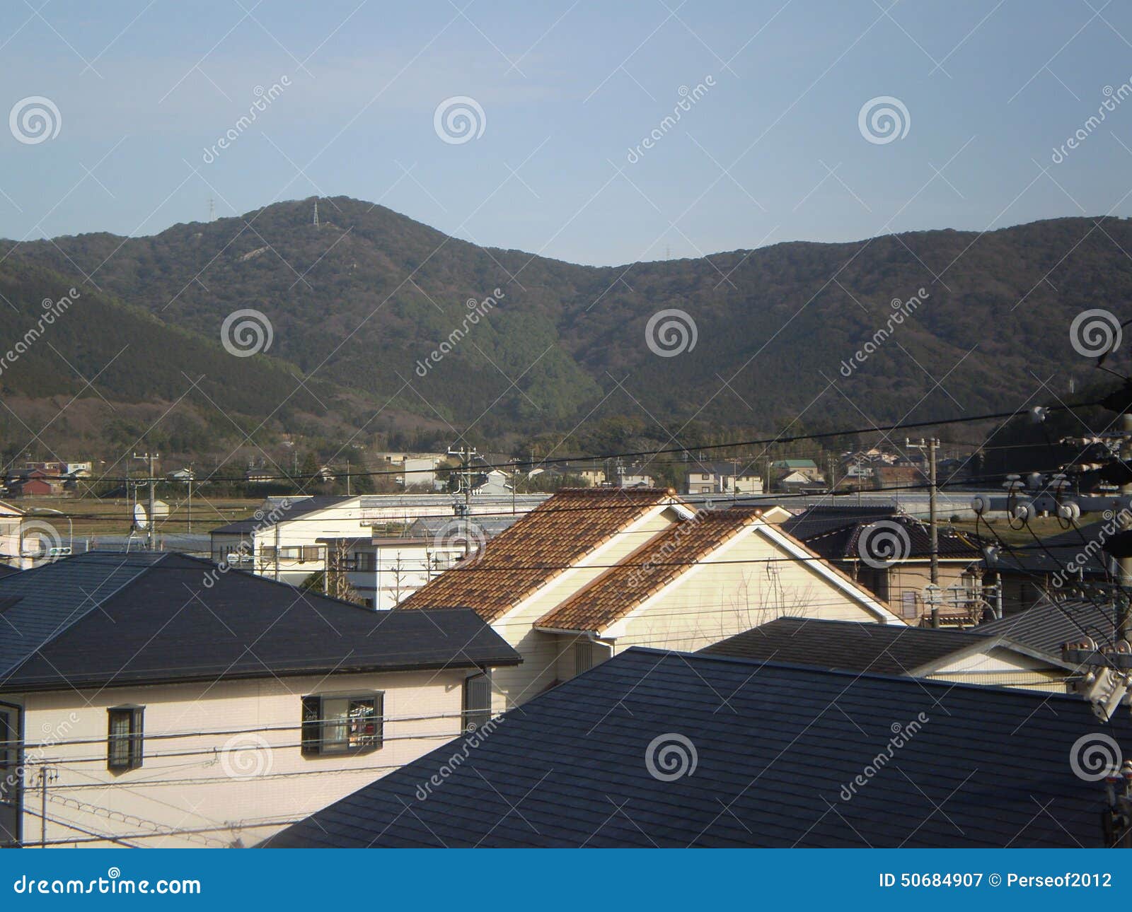 power pole and homes (japan)