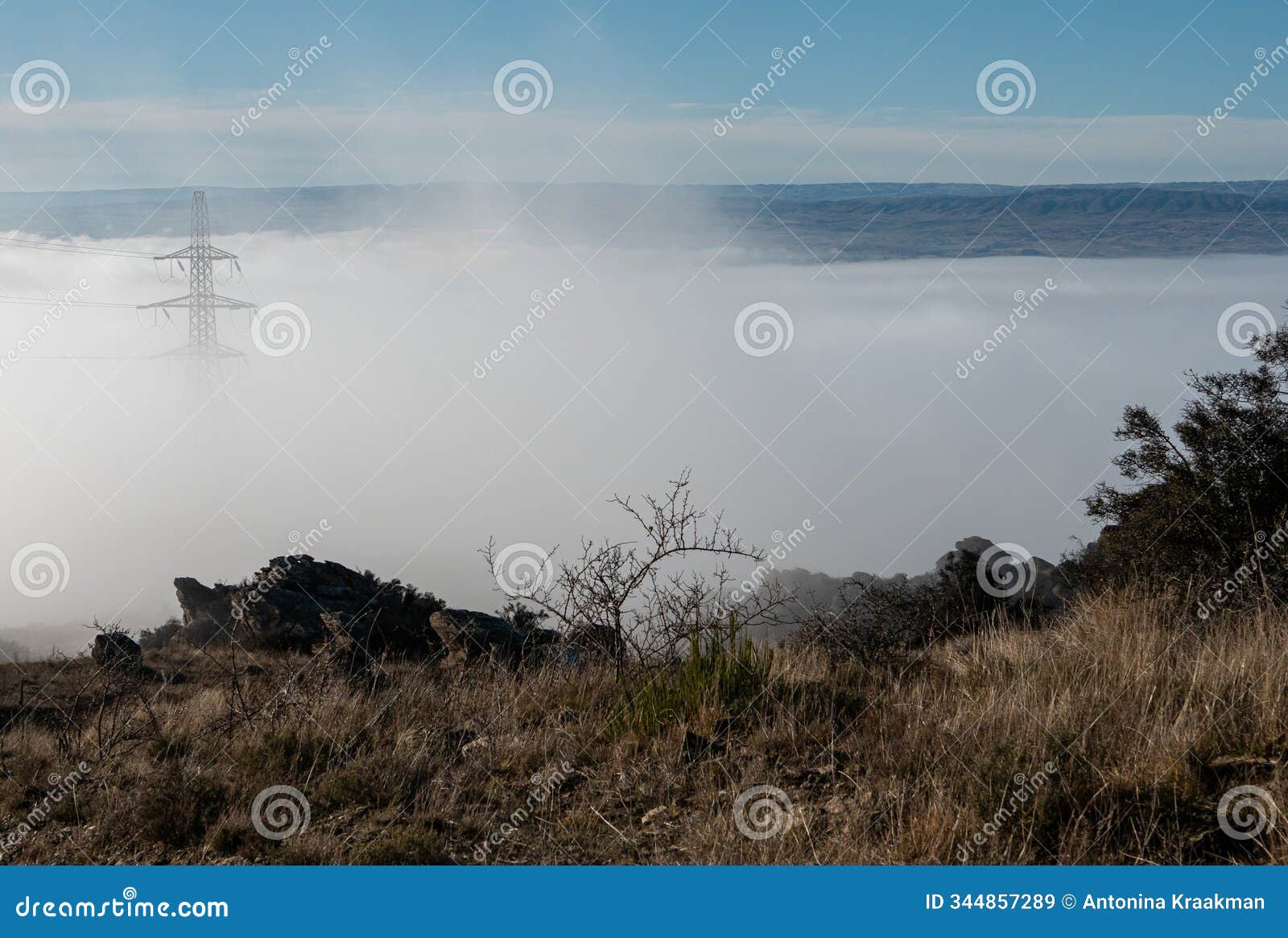 power poles in heavy fog eerie dreamy landscape