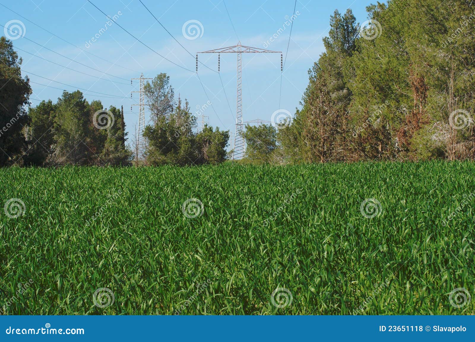 Power Transmission Line Over Meadow Stock Photo Image of conductor