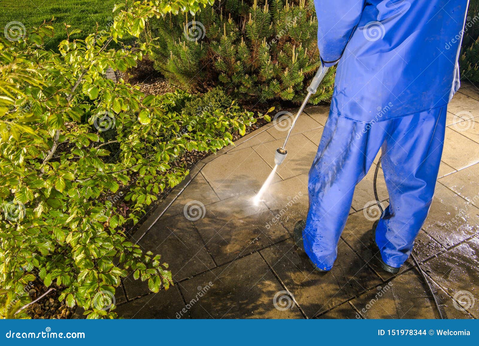 Power Washing Garden Paths stock photo. Image of dirt 151978344