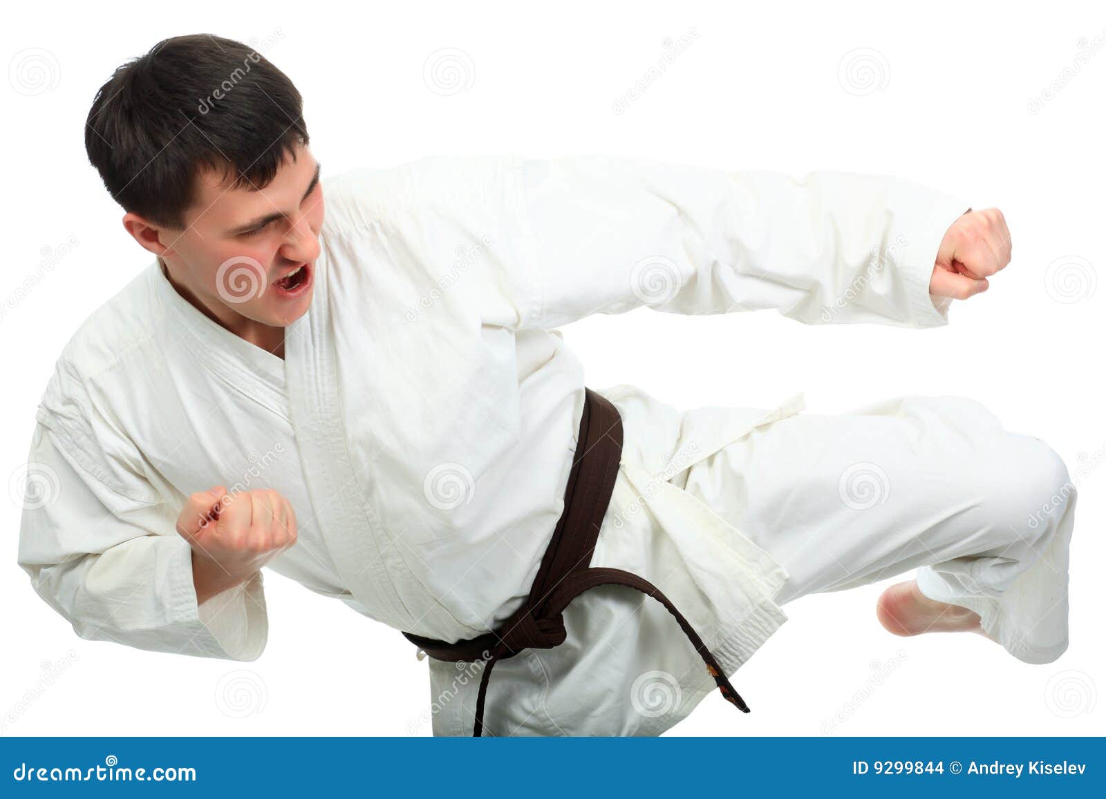 Powerful kick stock photo. Image of biceps, bellicose 9299844