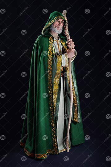 Powerful Wizard Holds a Wooden Magic Staff Stock Image - Image of hero ...