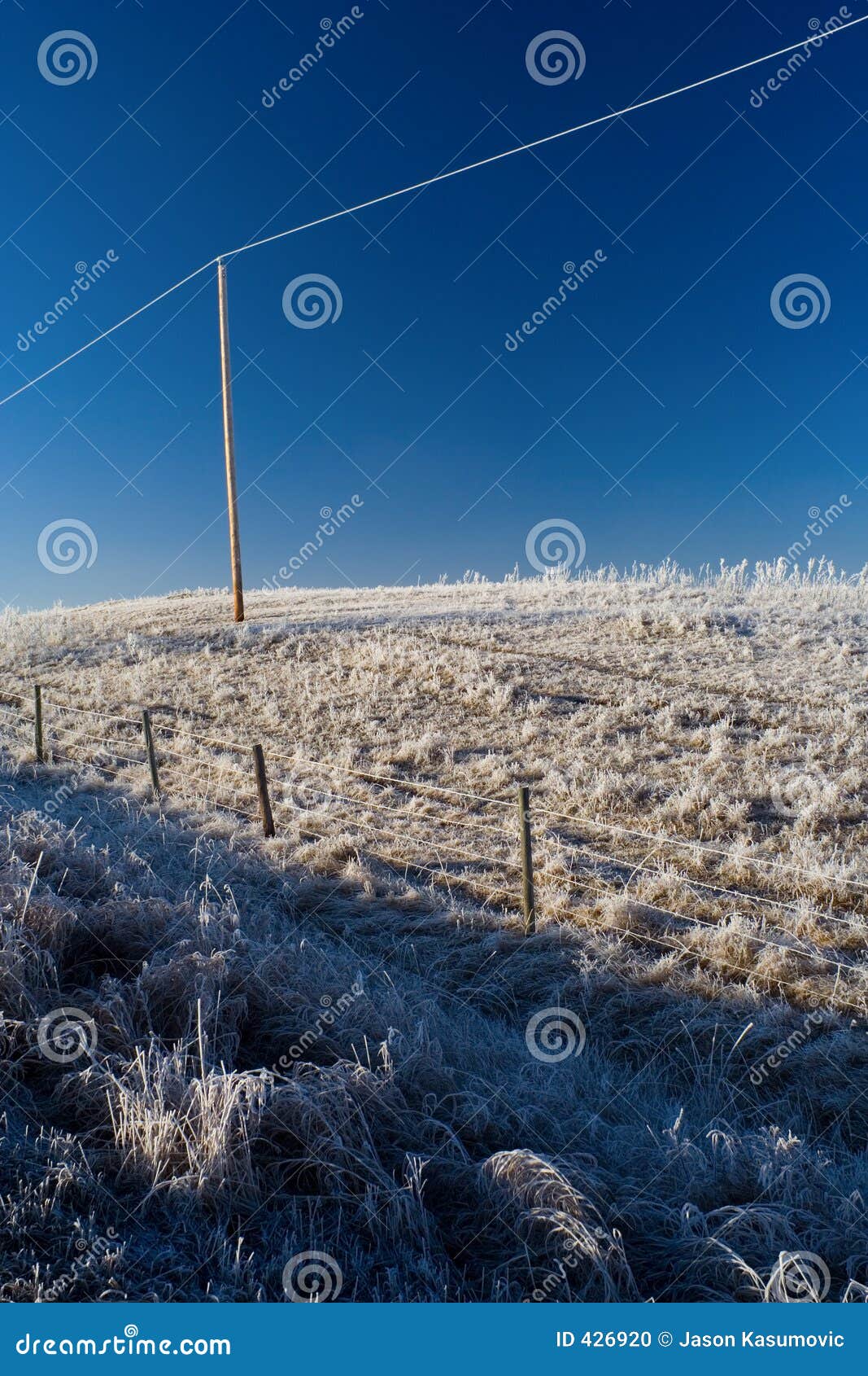 powerline hoarfrost