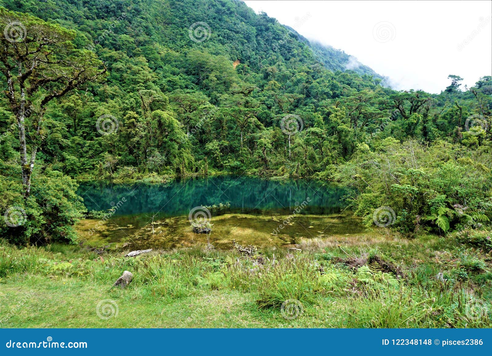 pozo verde and cloud forest in juan castro blanco national park