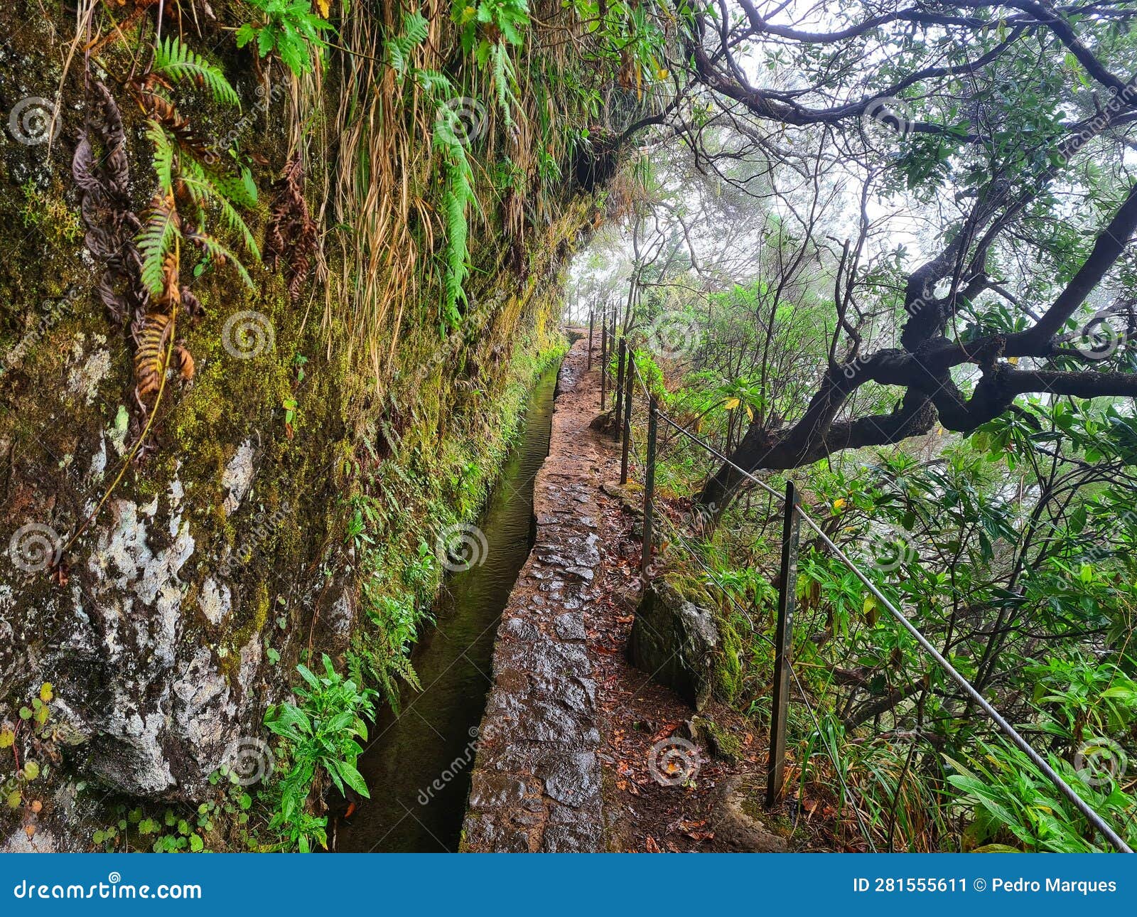 pr 9 - levada do caldeirÃ£o verde