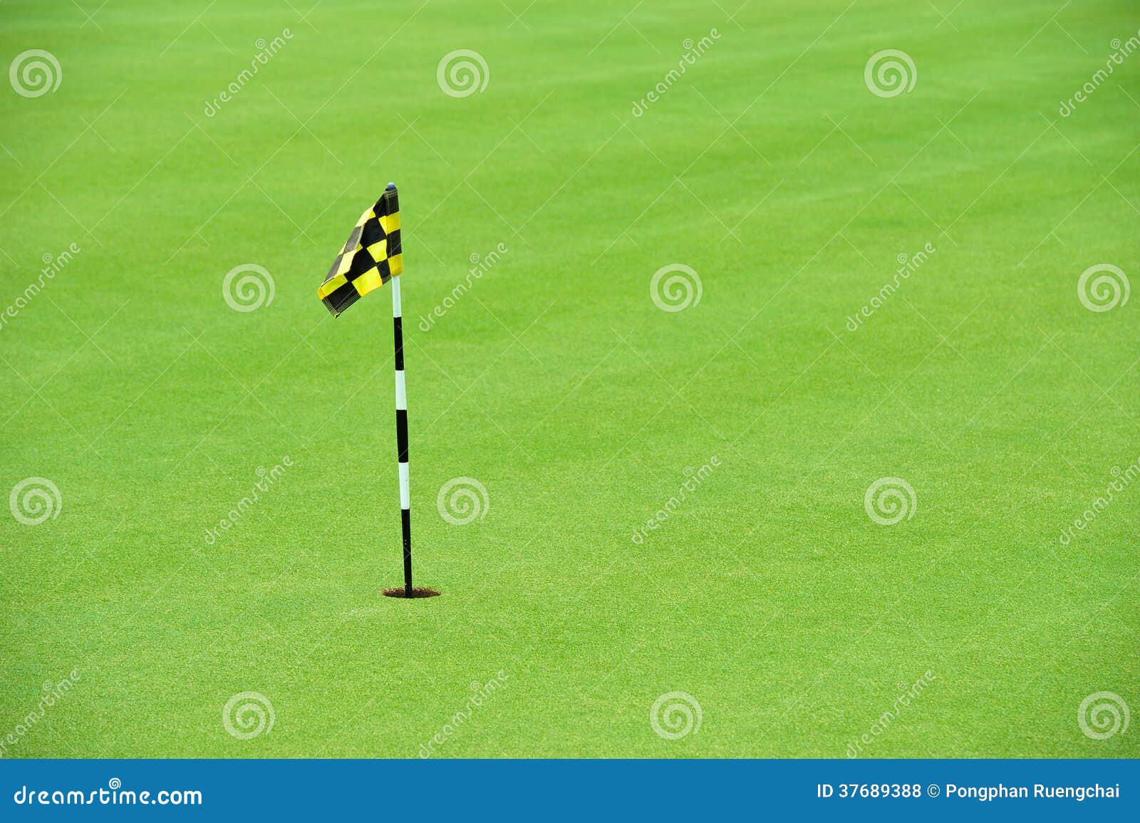 Practice Golf Putting Hole stock photo. Image of putting 37689388