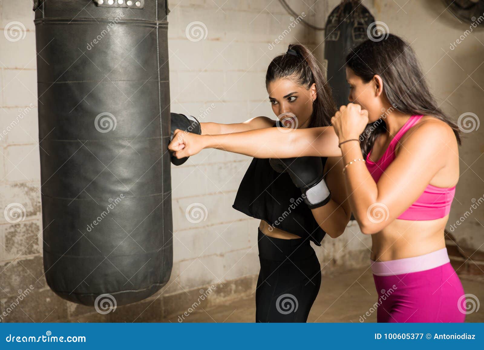 Practicing Some Punches in a Gym Stock Image Image of athletic, sport