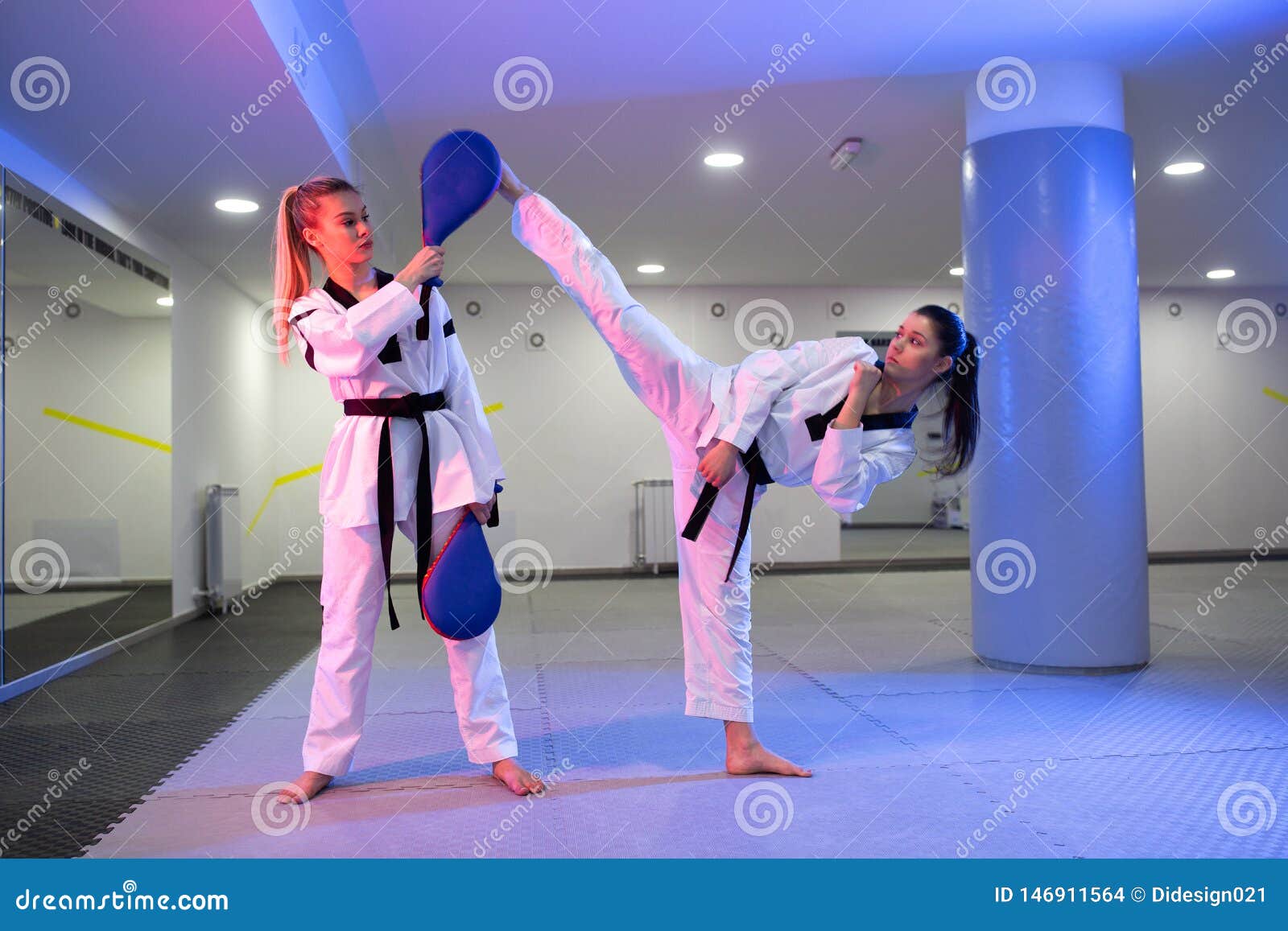 Taekwondo Durable Kick Pad Ziel Taekwondo Karate Kickboxen Blau R2J6 