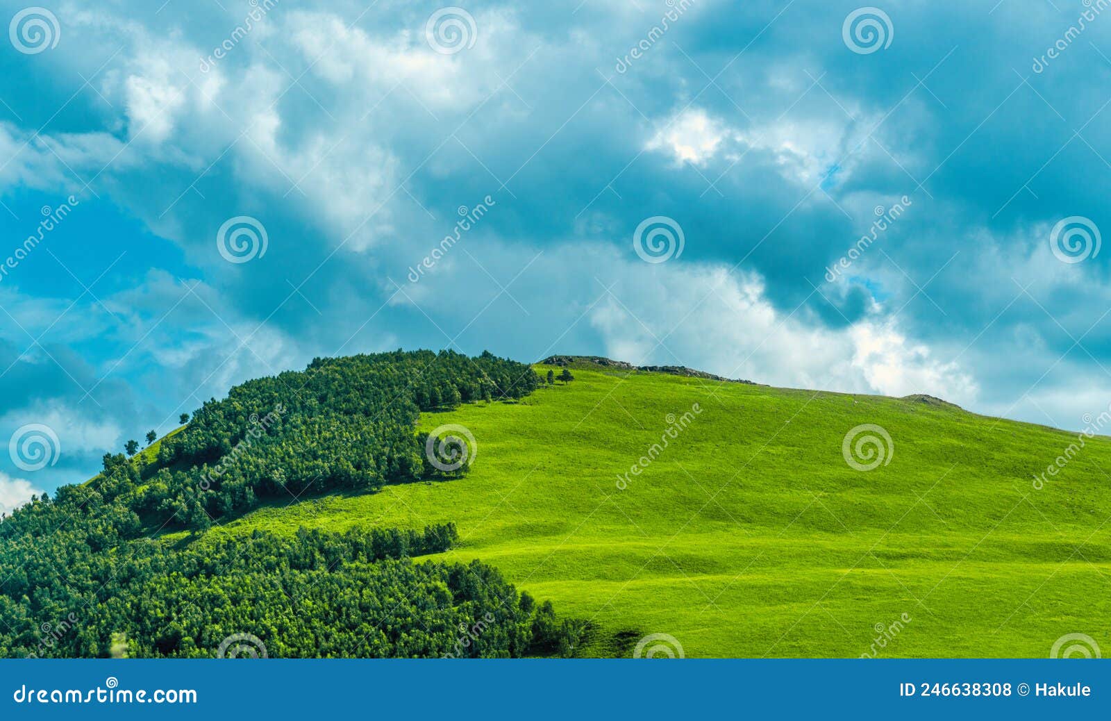 Praderas De Colinas Y Cielo Azul Foto de archivo - Imagen de grande