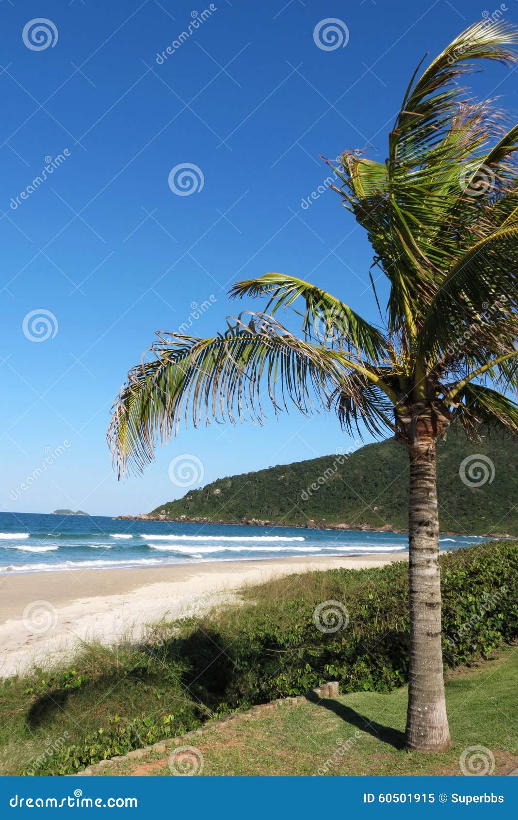 praia brava - florianÃÂ³polis, santa catarina - brasil