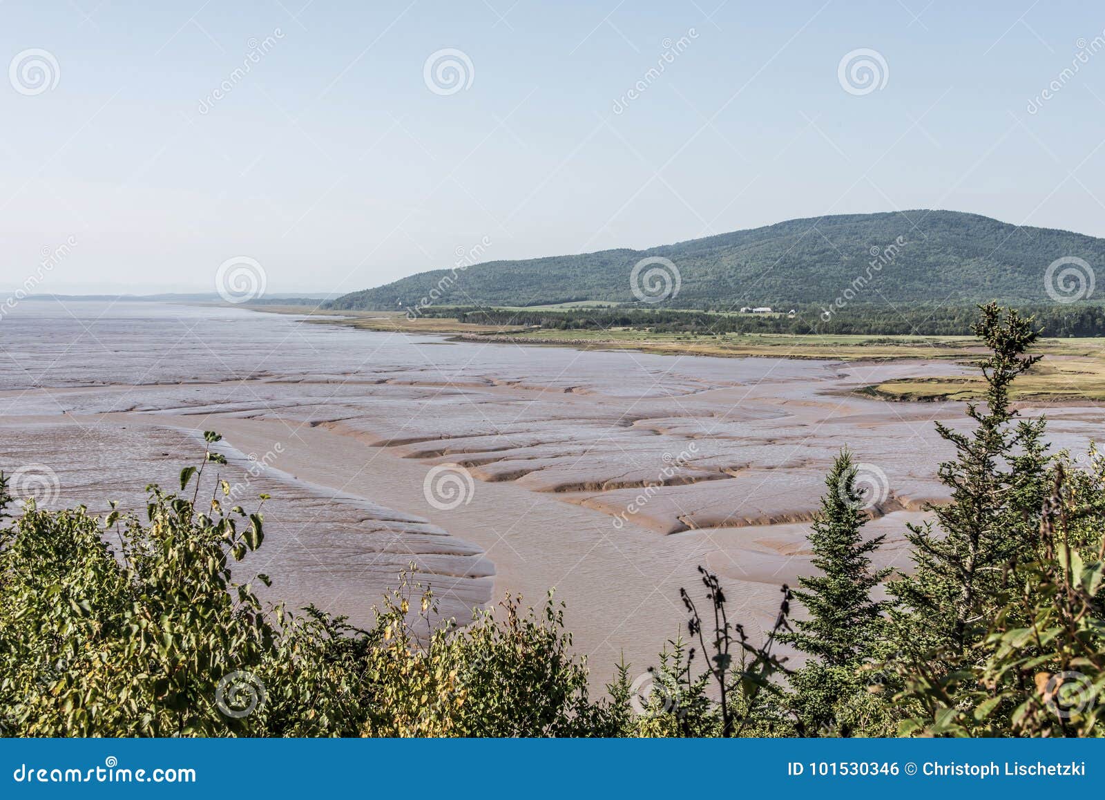 Praia Da Maré Baixa Na Baía De Fundy Novo Brunswick - a água De Cor  Castanha De Canadá Chamou O Rio Do Chocolate Foto de Stock - Imagem de  liso, dinâmico: 101530346