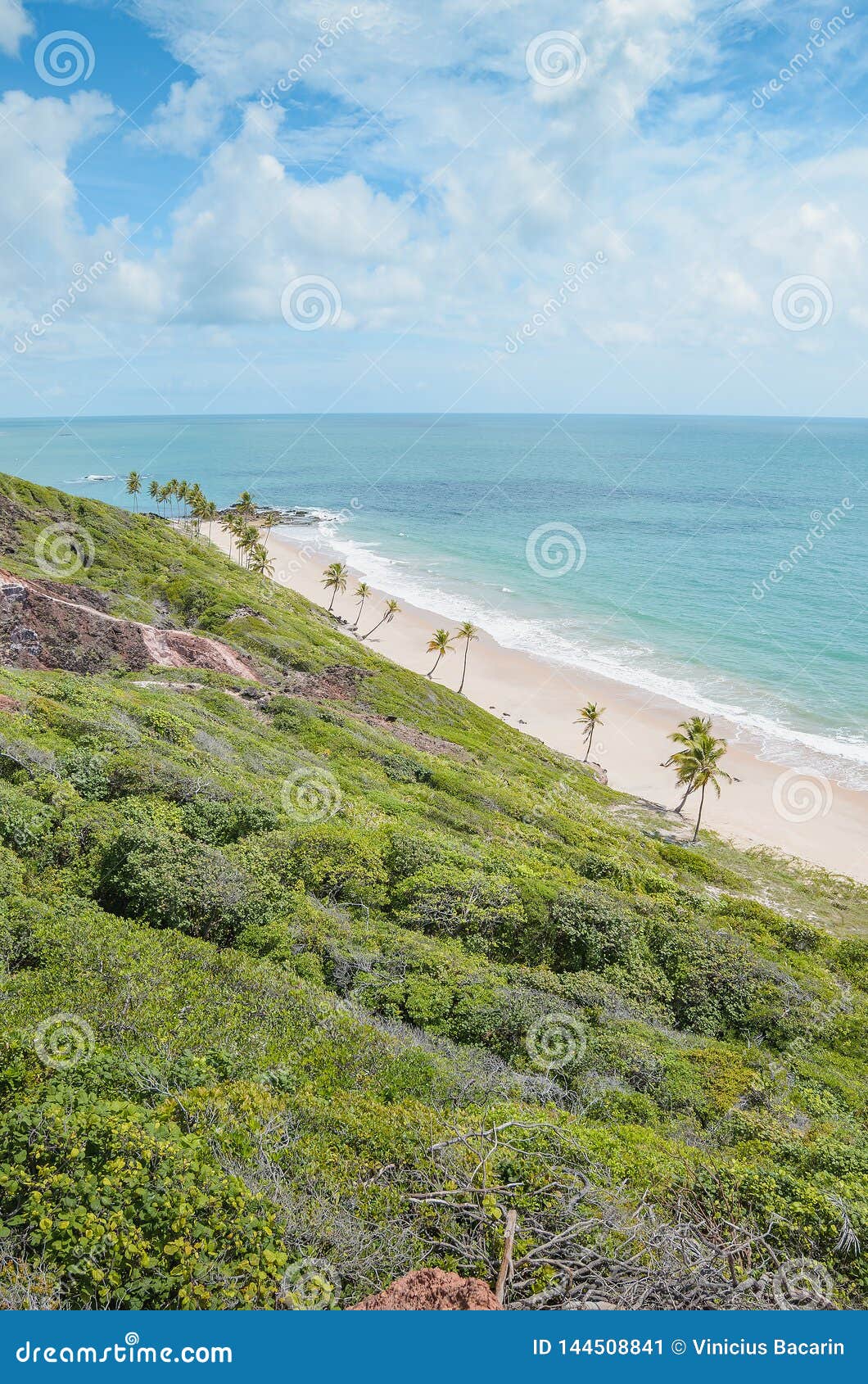 praia de coqueirinho, conde pb brazil
