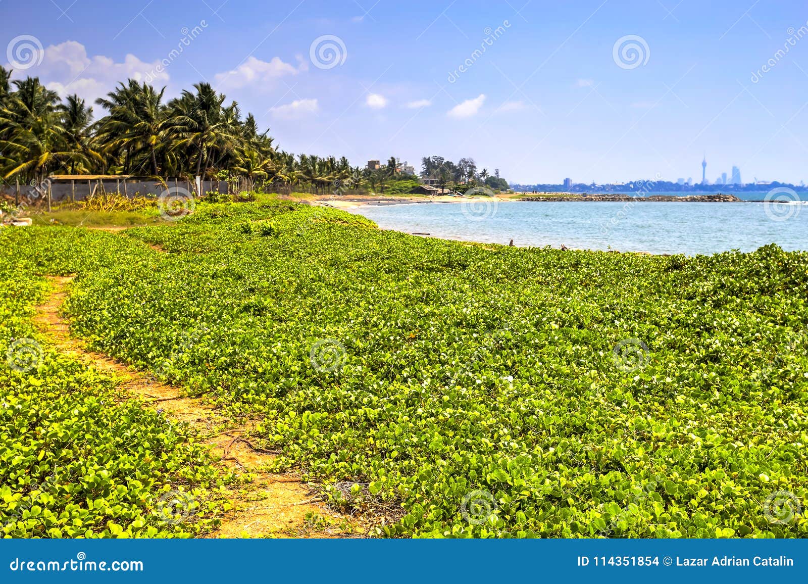 Praia de Palliyawatta, Sri Lanka. Praia de Palliyawatta em Wattala com águas claras e as areias douradas No fundo você pode observar os arranha-céus da cidade de Colombo, Sri Lanka