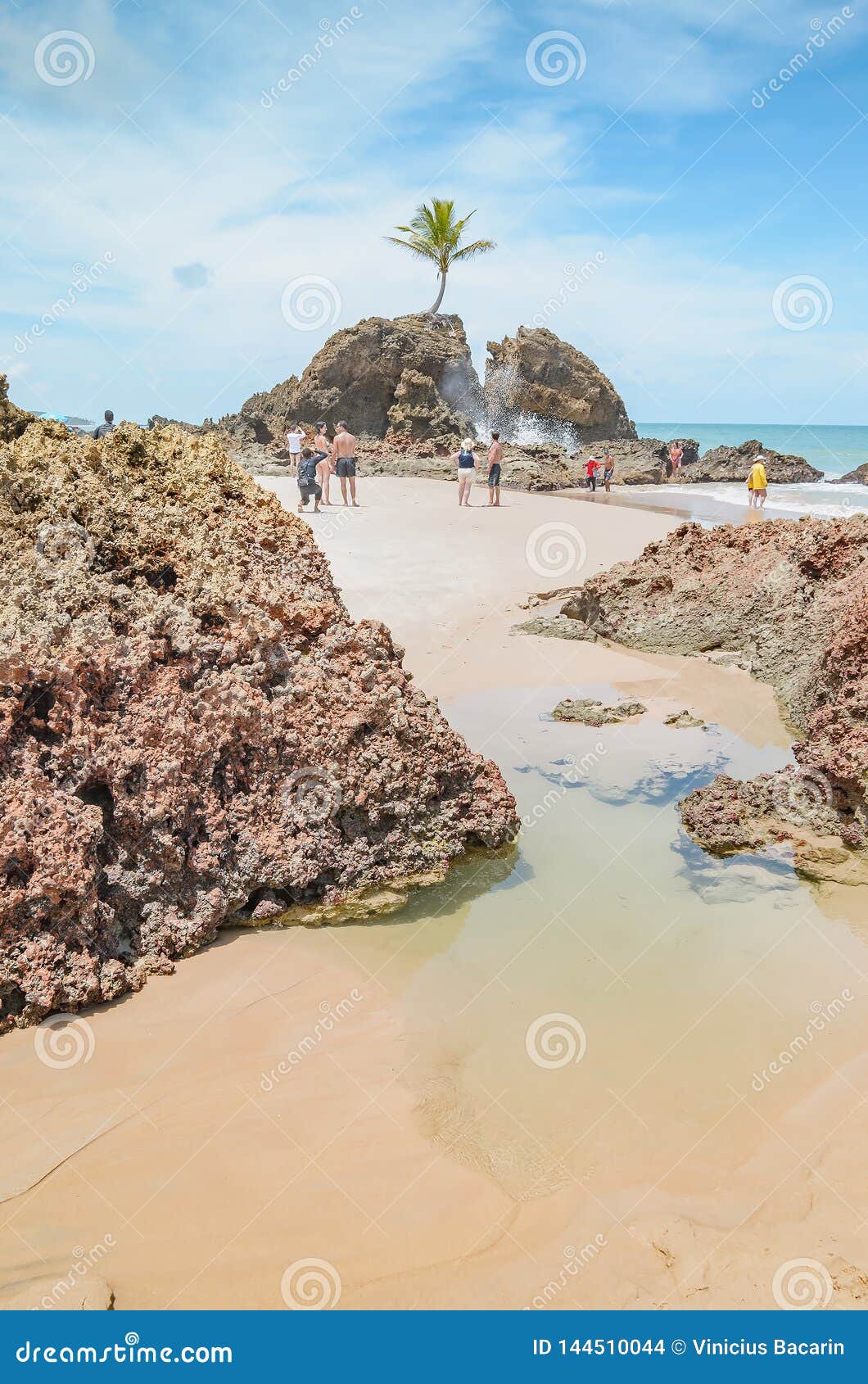 Tambaba Beach In Brazil Stock Images - Image: 19057044
