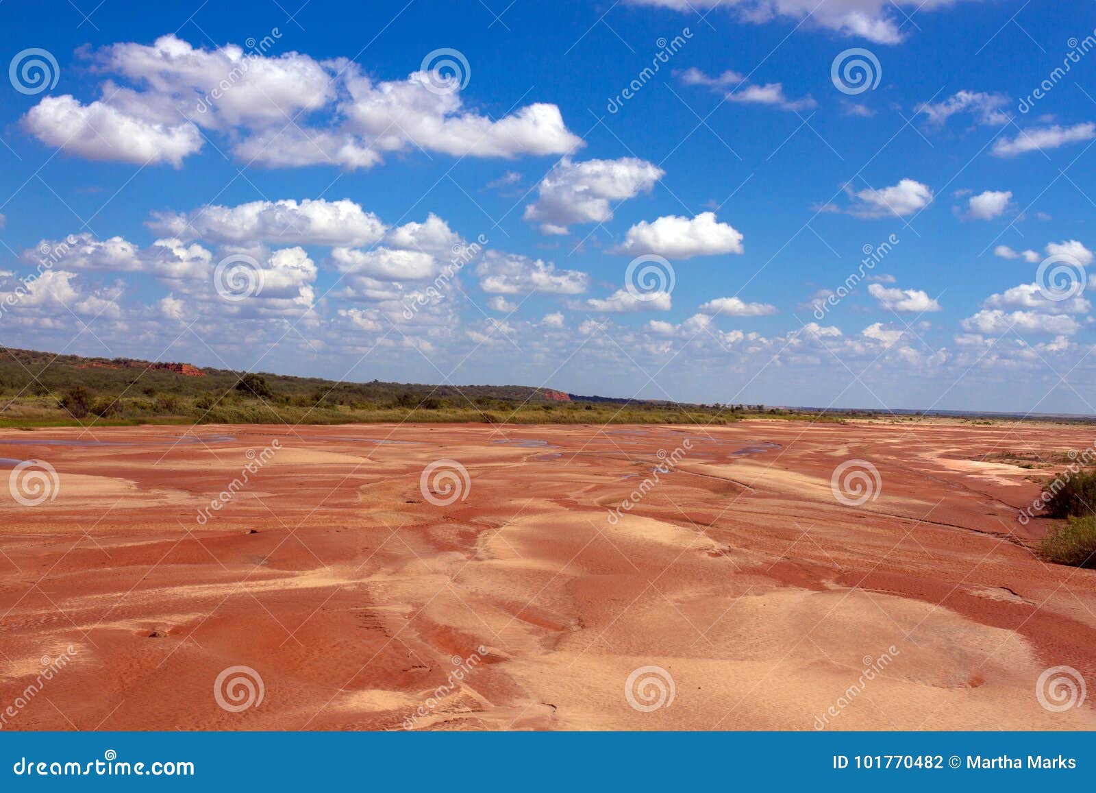 Prairie Dog Town Fork of the Red River Stock Photo Image of panhandle
