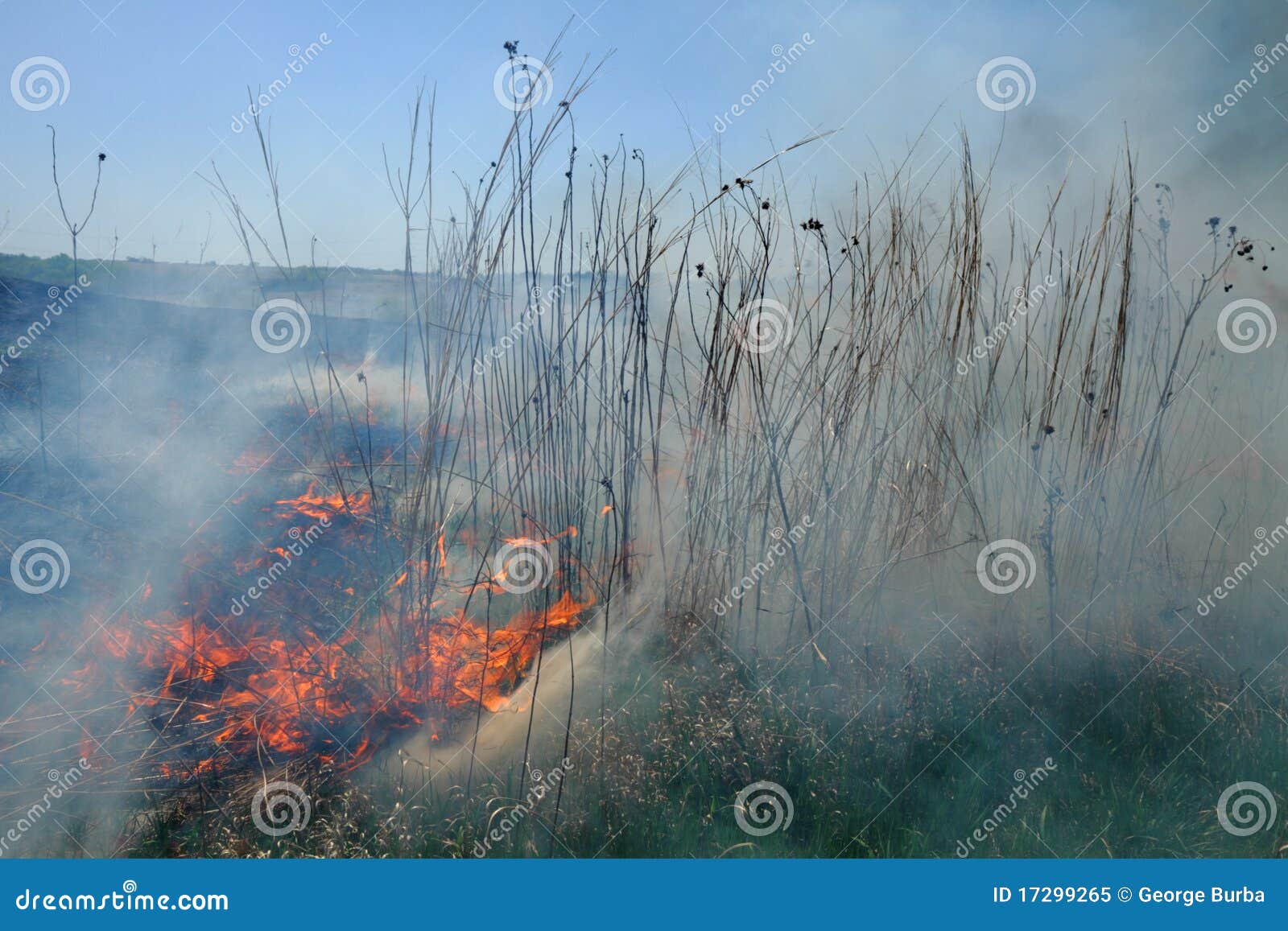Prairie Fire stock image. Image of meadow, field, blaze 17299265