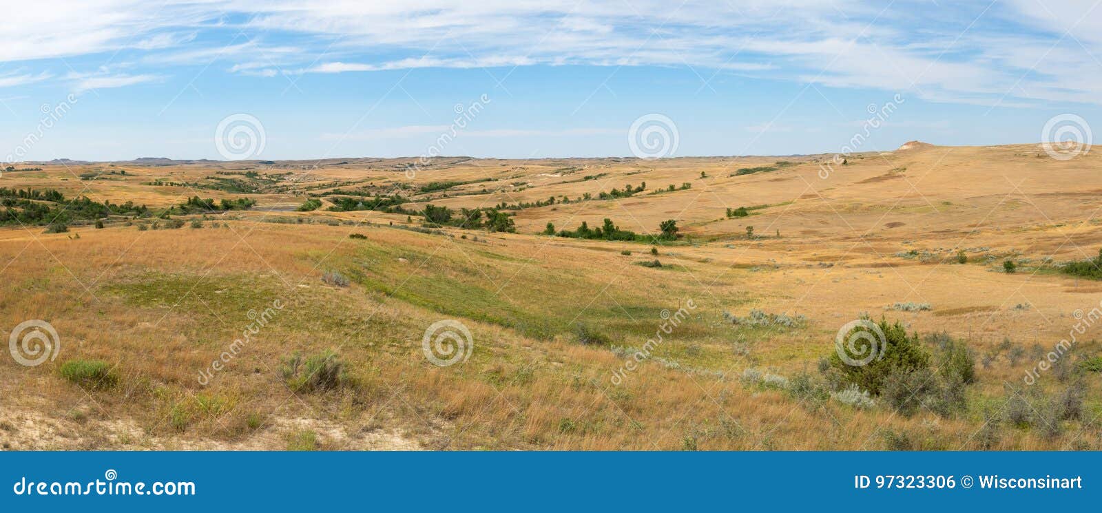 prairie, grass, banner, panorama, panoramic
