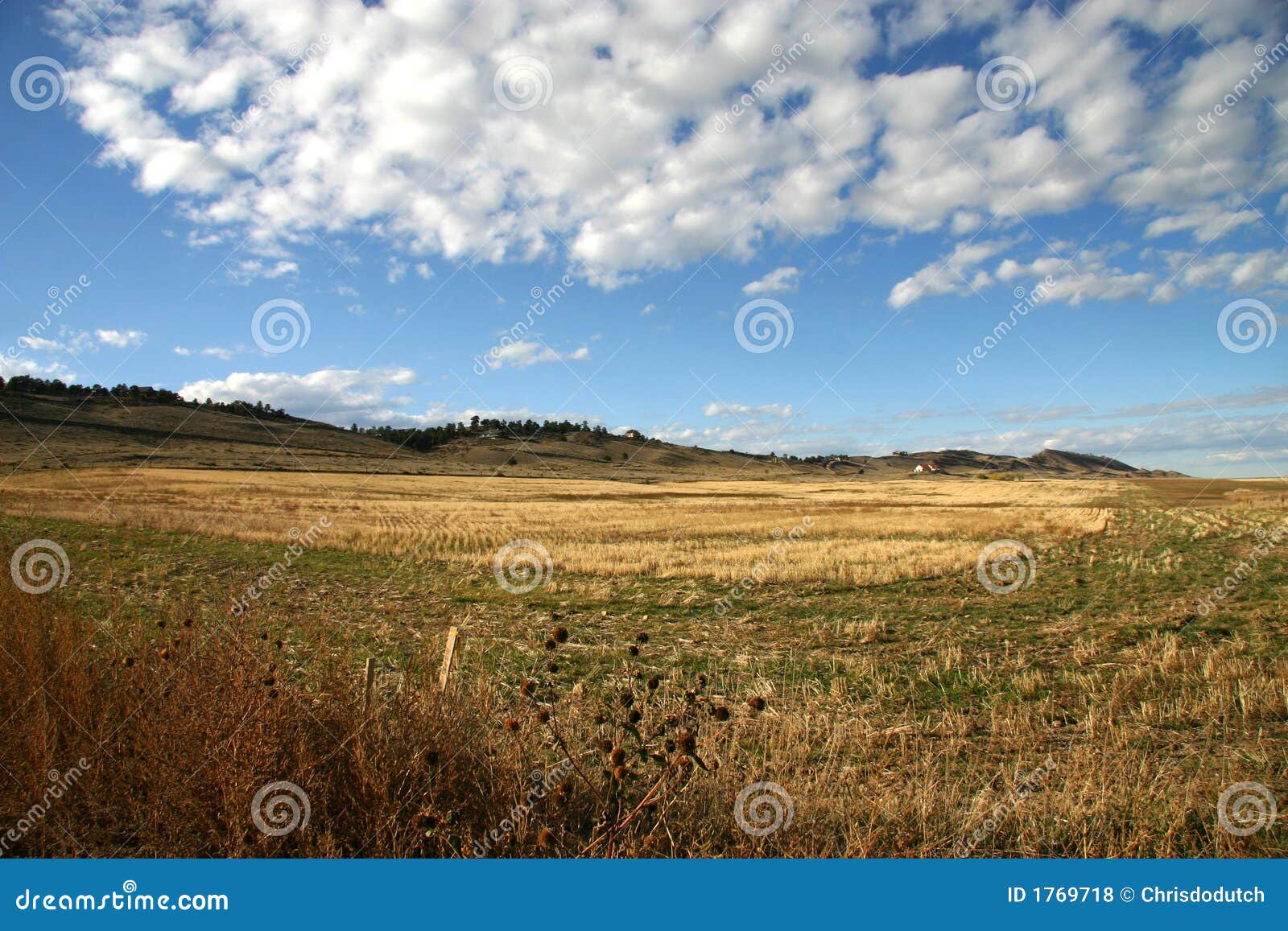 Prairie lands stock photo. Image of grassland, yellow 1769718