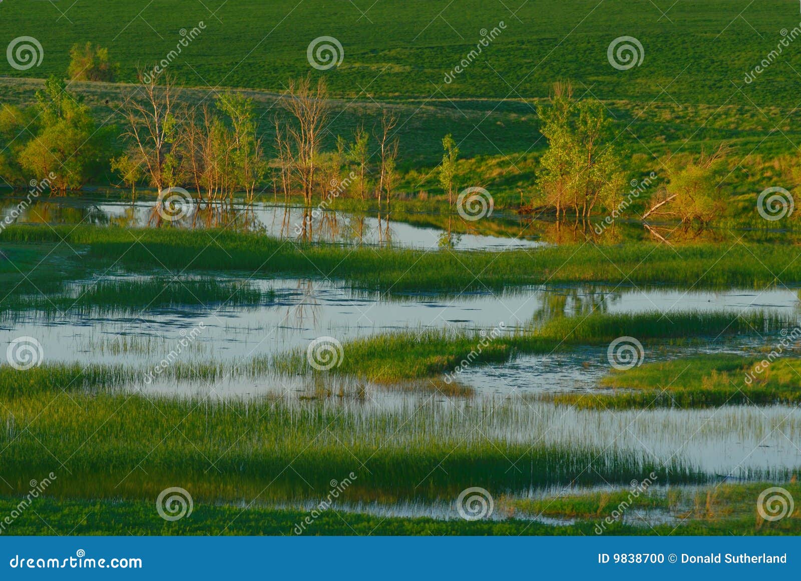 Prairie pond stock photo. Image of landscape, evening 9838700