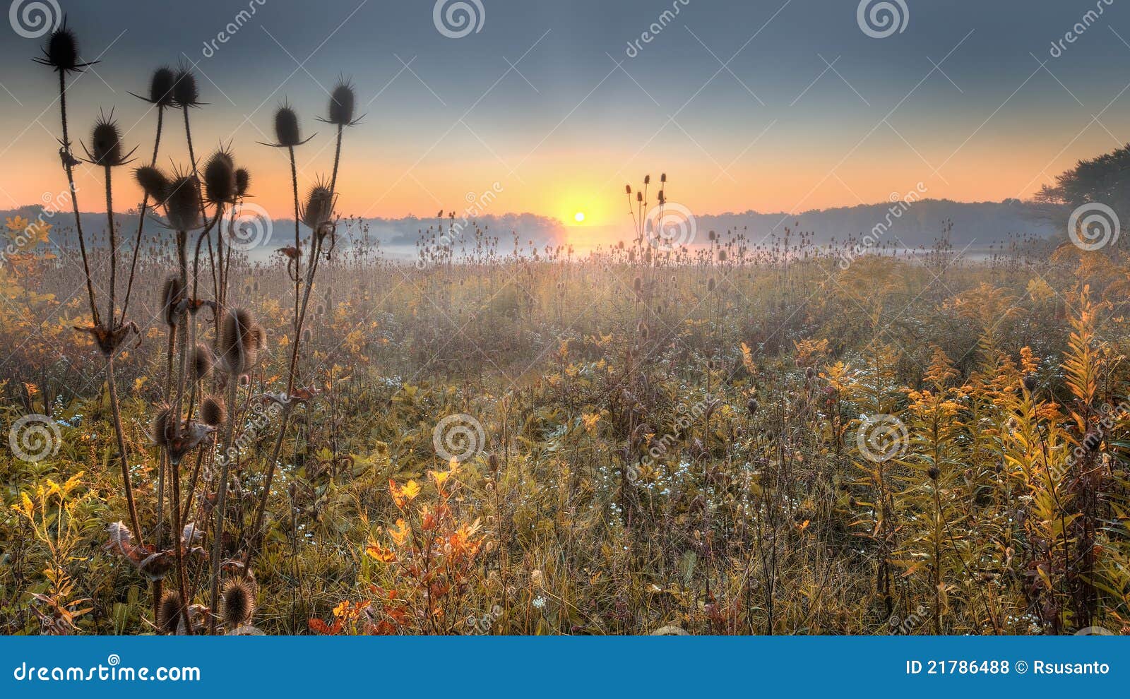 prairie sunrise