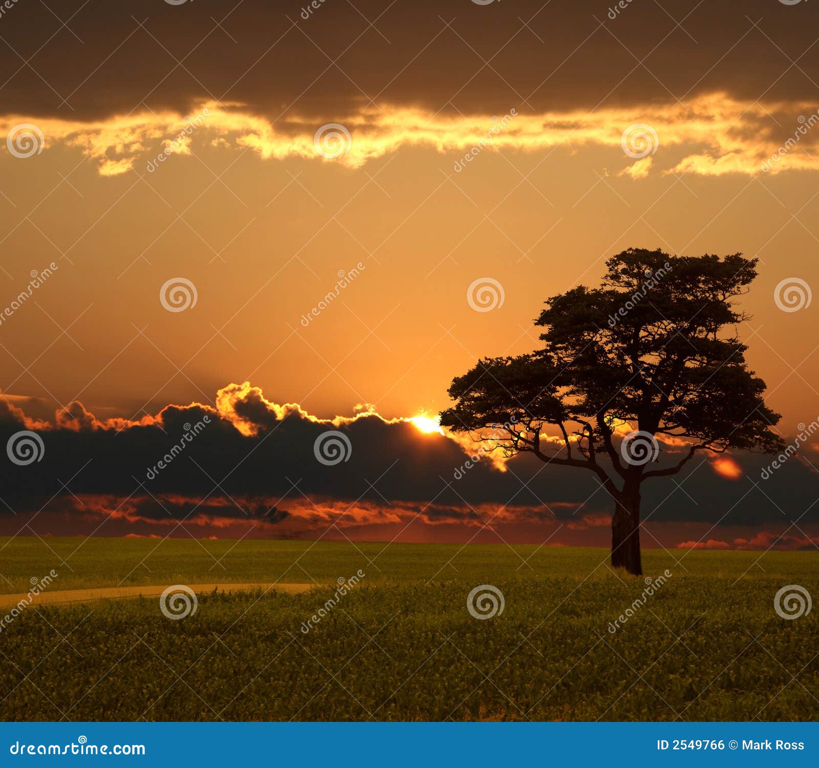 prairie sunrise