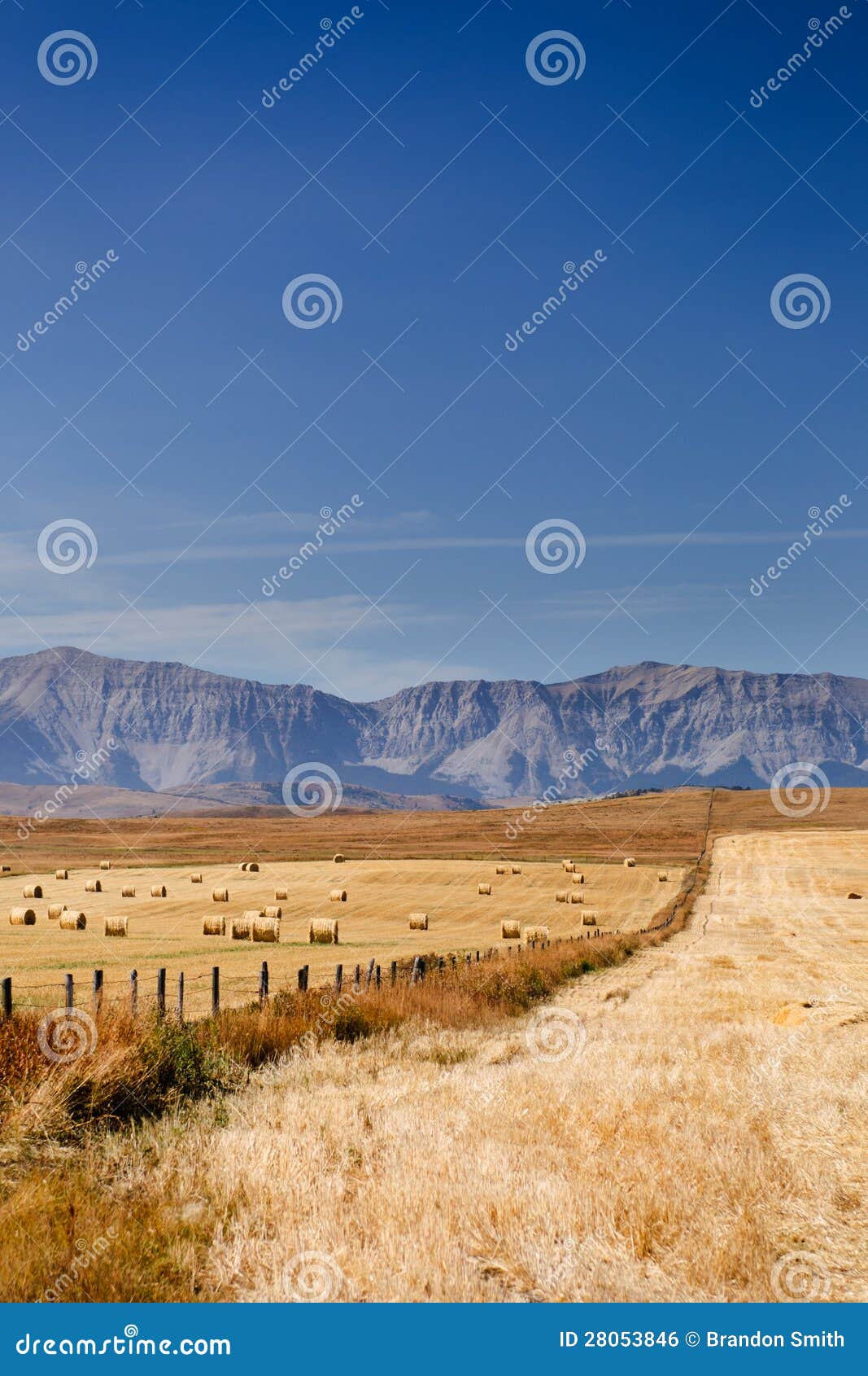 Prairie Views stock photo. Image of feed, plain, agriculture 28053846