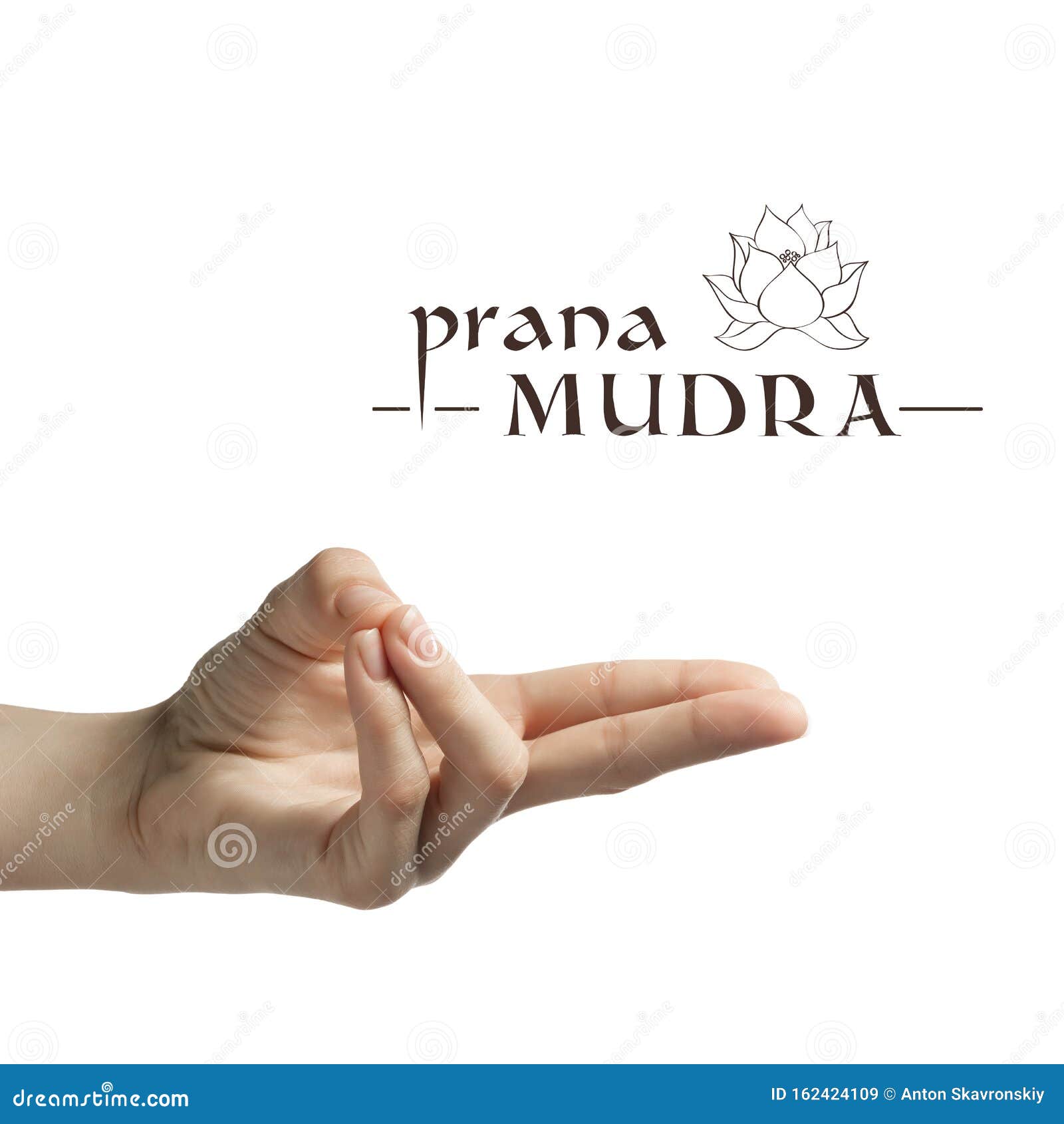 Prana mudra on white stock image. Image of female, peace 162424109