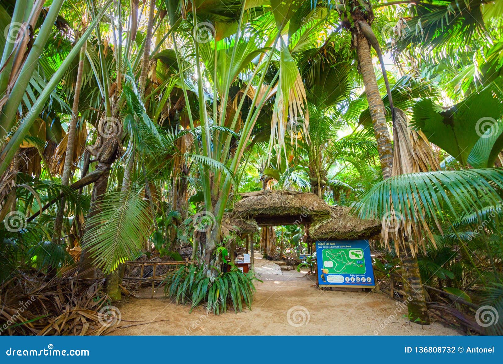 Praslin, Seychelles - May 4, 2016: Entry for Vallee De Mai Nature Reserve `May Valley` Photography - Image of forest, 136808732