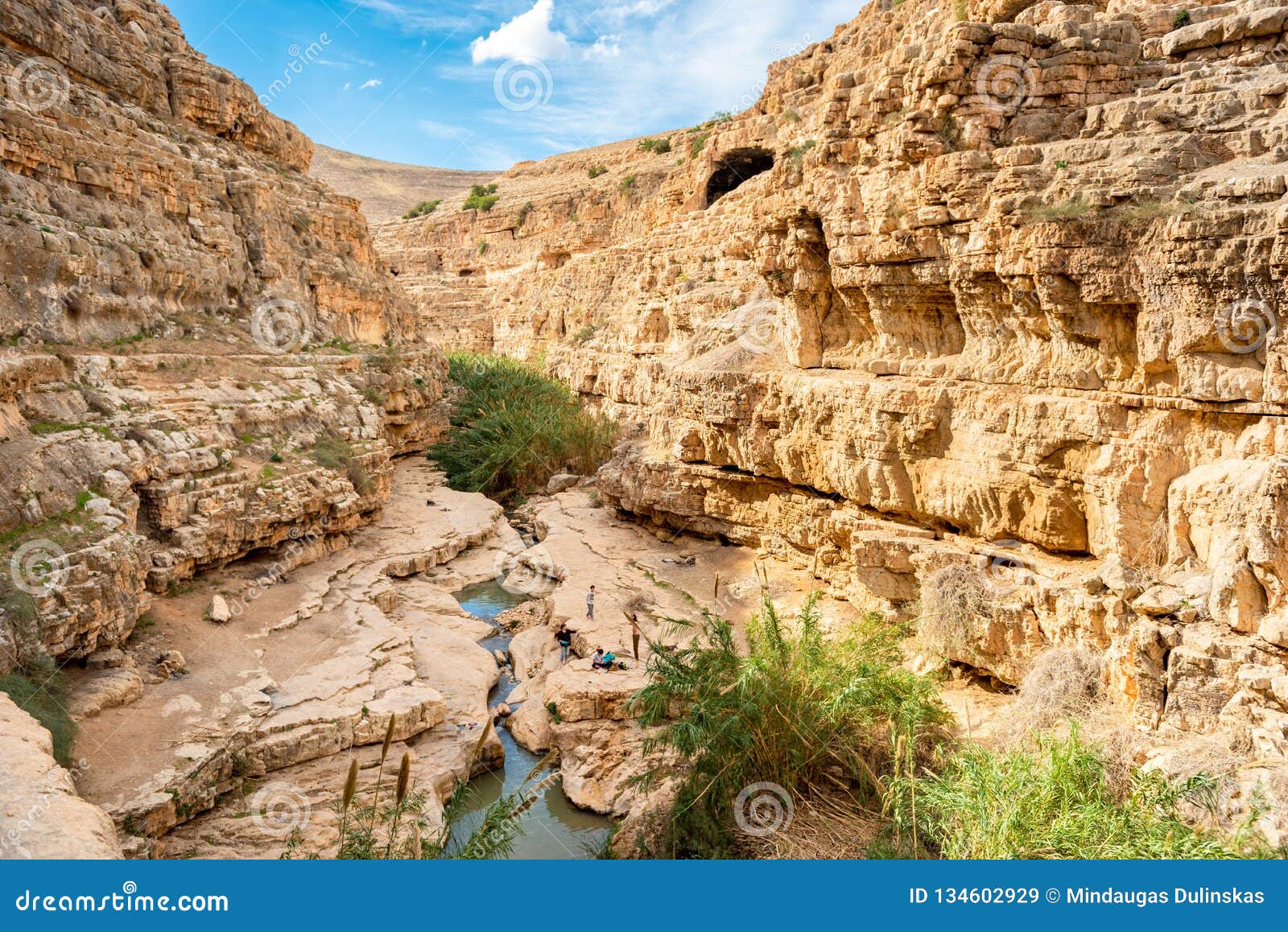 Prat-Fluss In Israel Wadi Qelt-Tal Im Westjordanland Stockbild - Bild