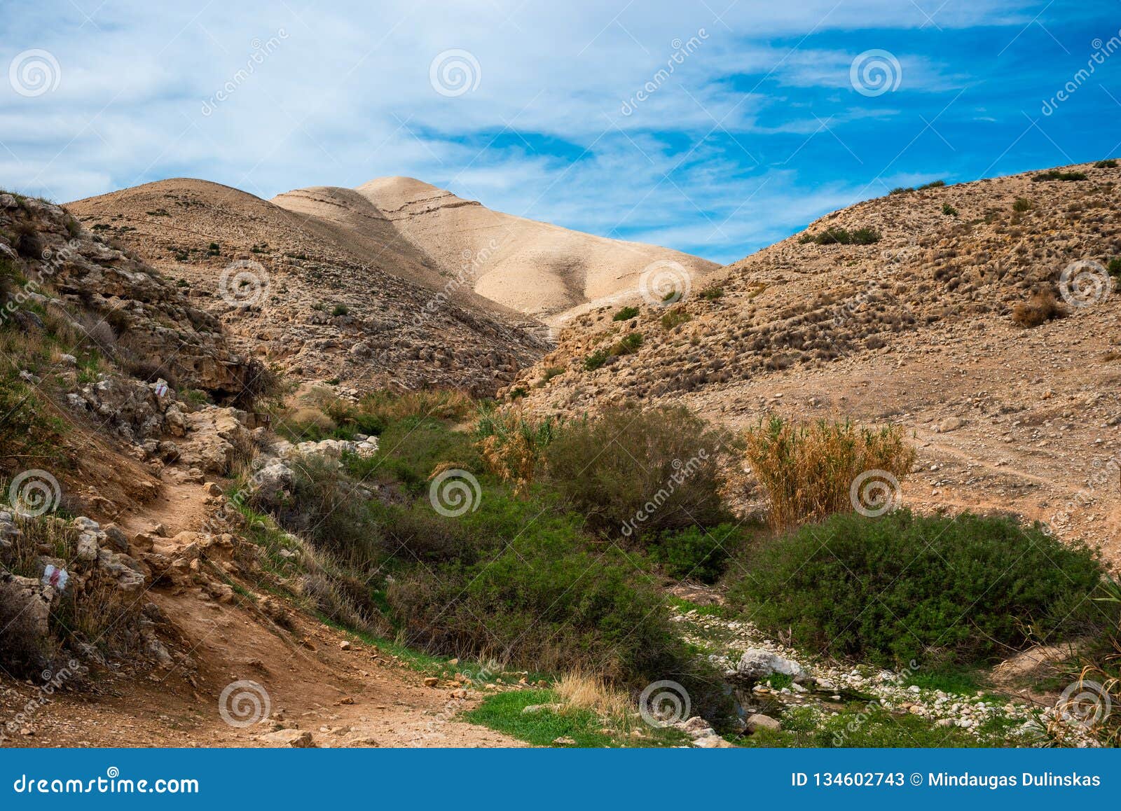 Prat River in Israel. Wadi Qelt Valley in the West Bank Stock Image