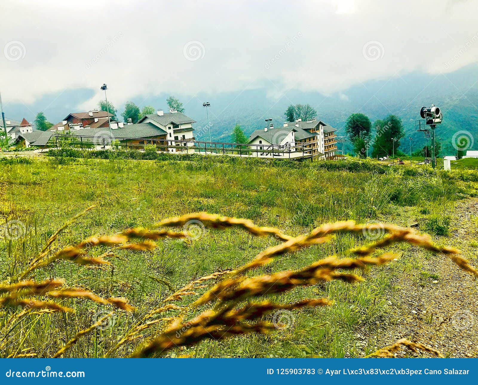 Prato Verde In Un Paesaggio Russo Della Campagna Immagine Stock Immagine Di Bello Terra 125903783