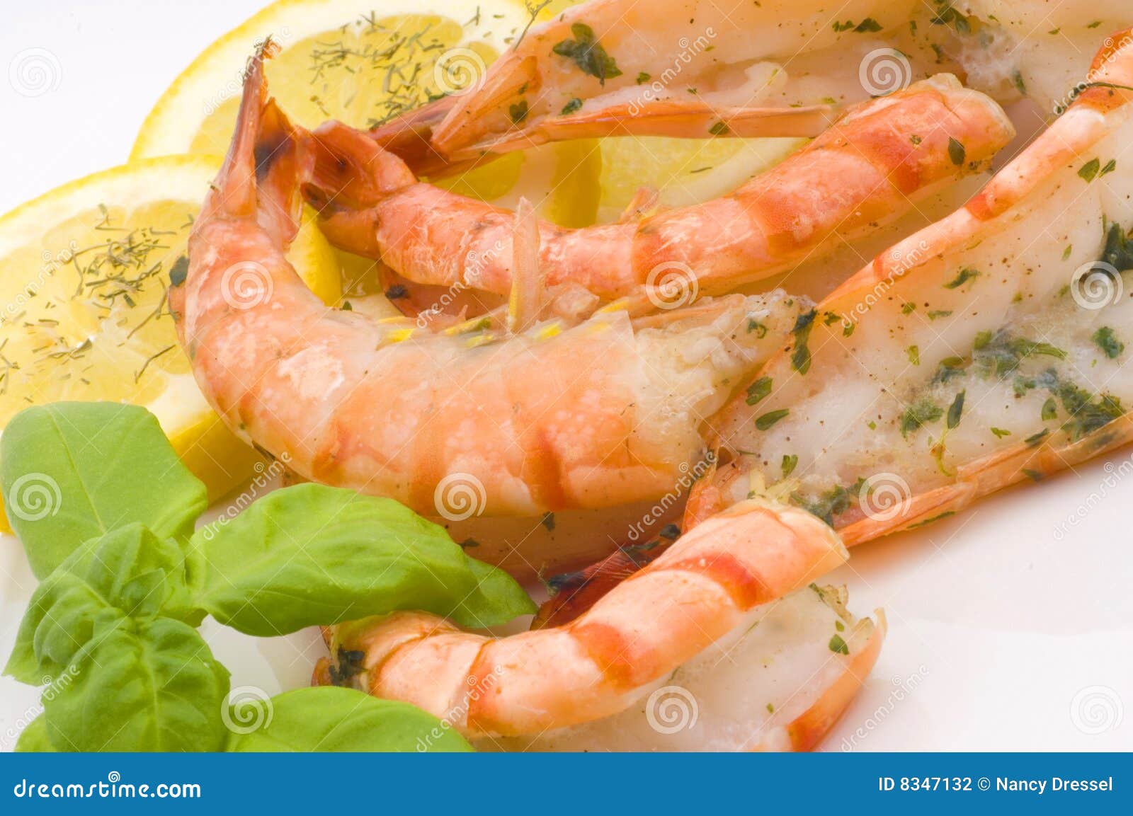 Prawns with seasoning stock photo. Image of isolated, delicious 8347132