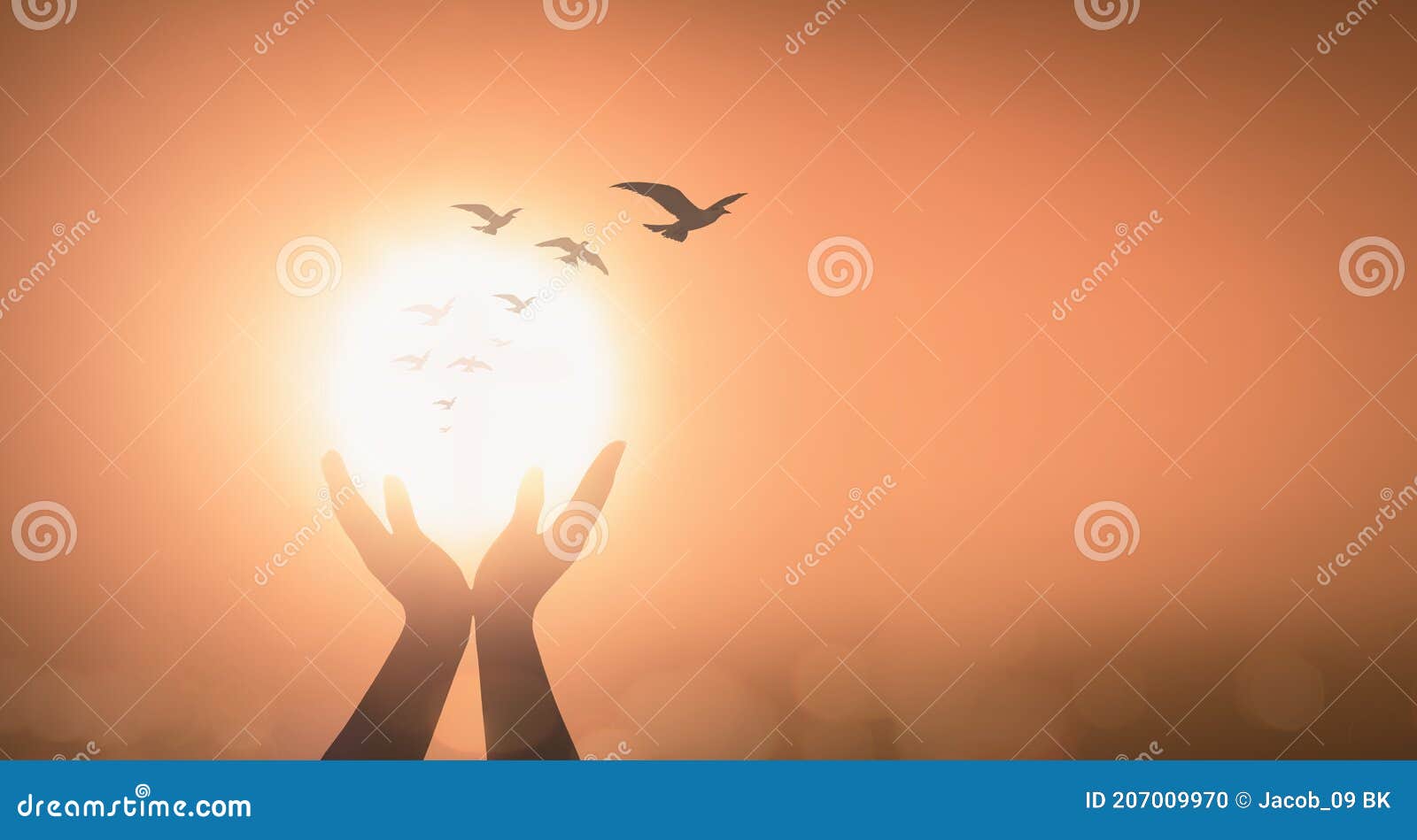 prayer hands with birds flying