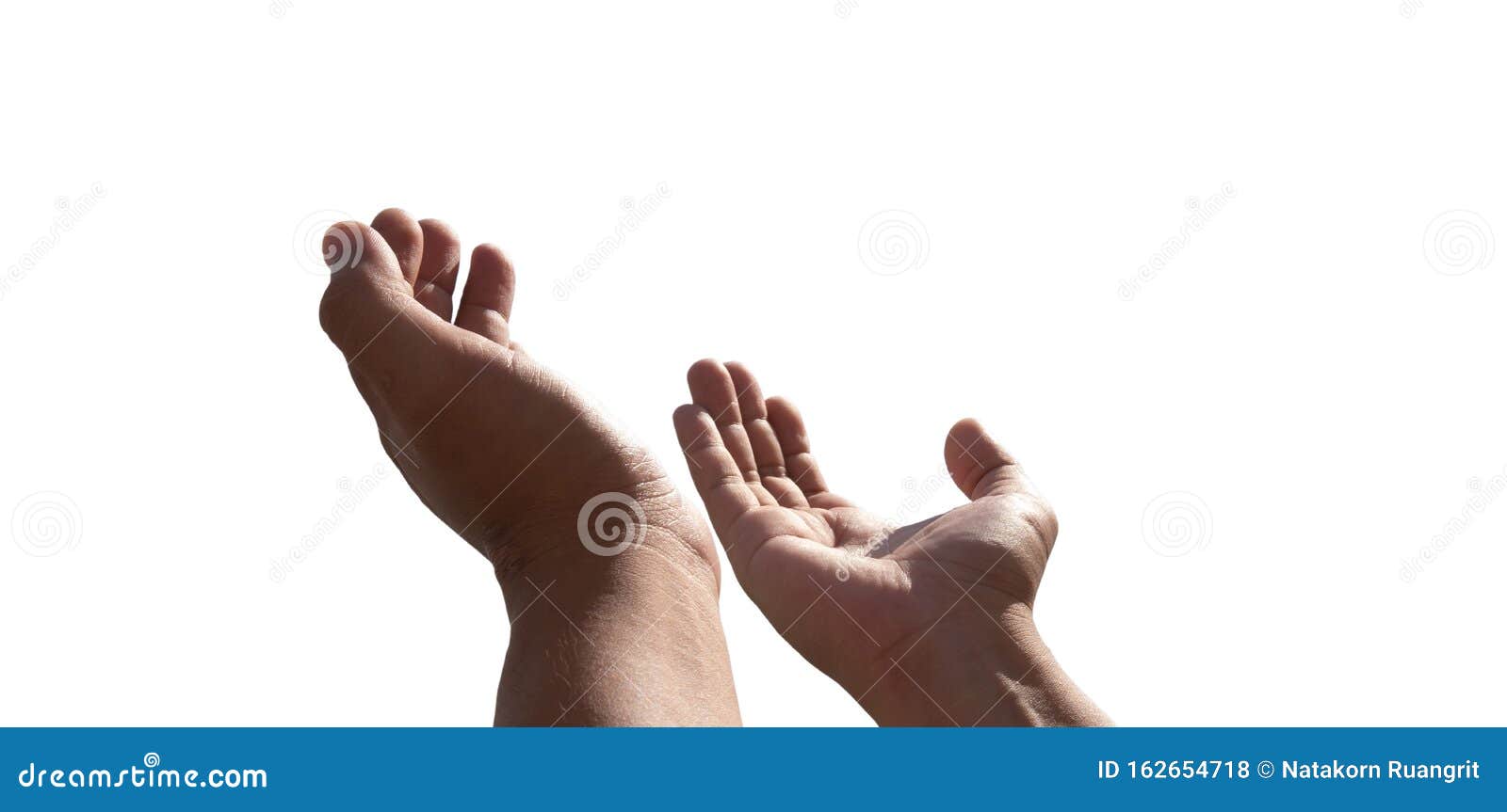 praying hands of a man for blessings his god  on white background with clipping path