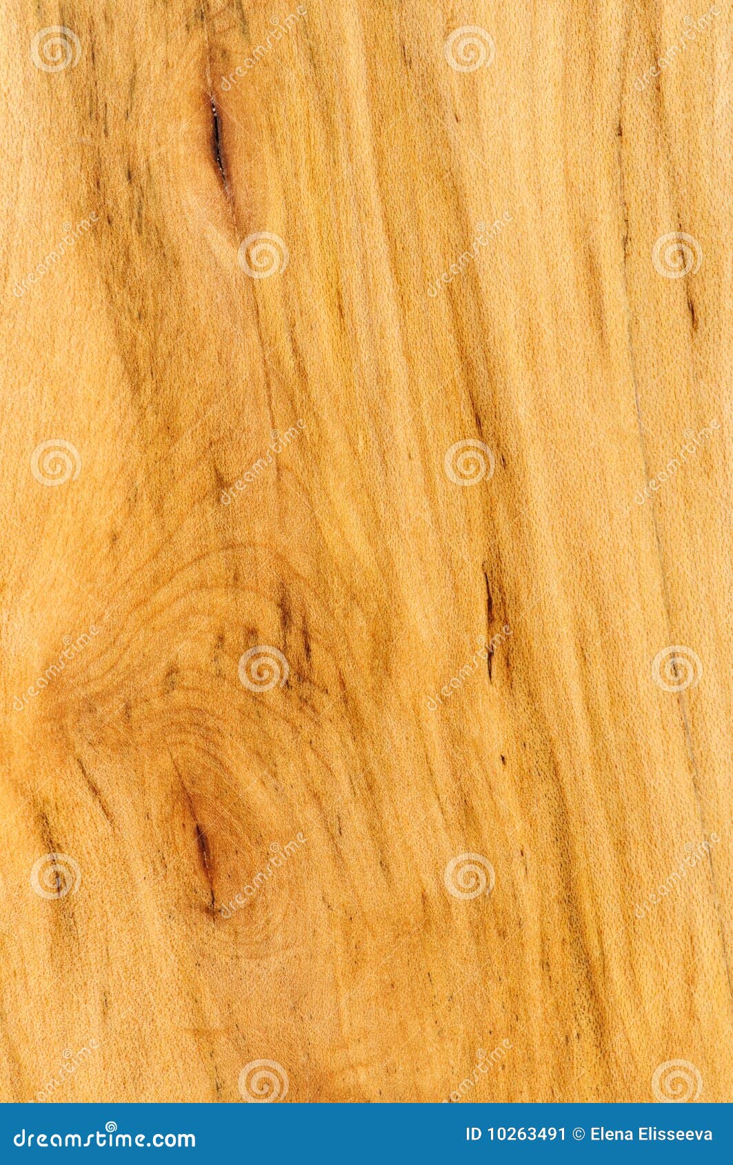 Prefinished Hardwood Floor Sample Stock Image Image of dark
