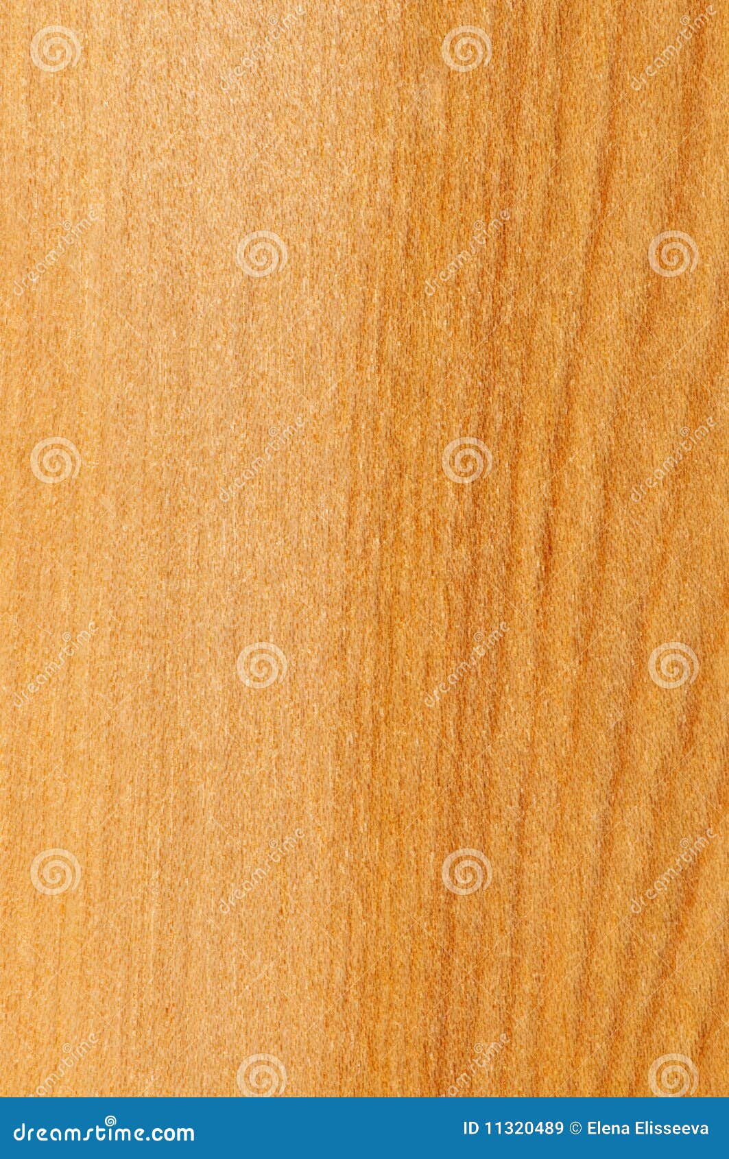 Prefinished Hardwood Floor Sample Stock Image Image of plank, lumber