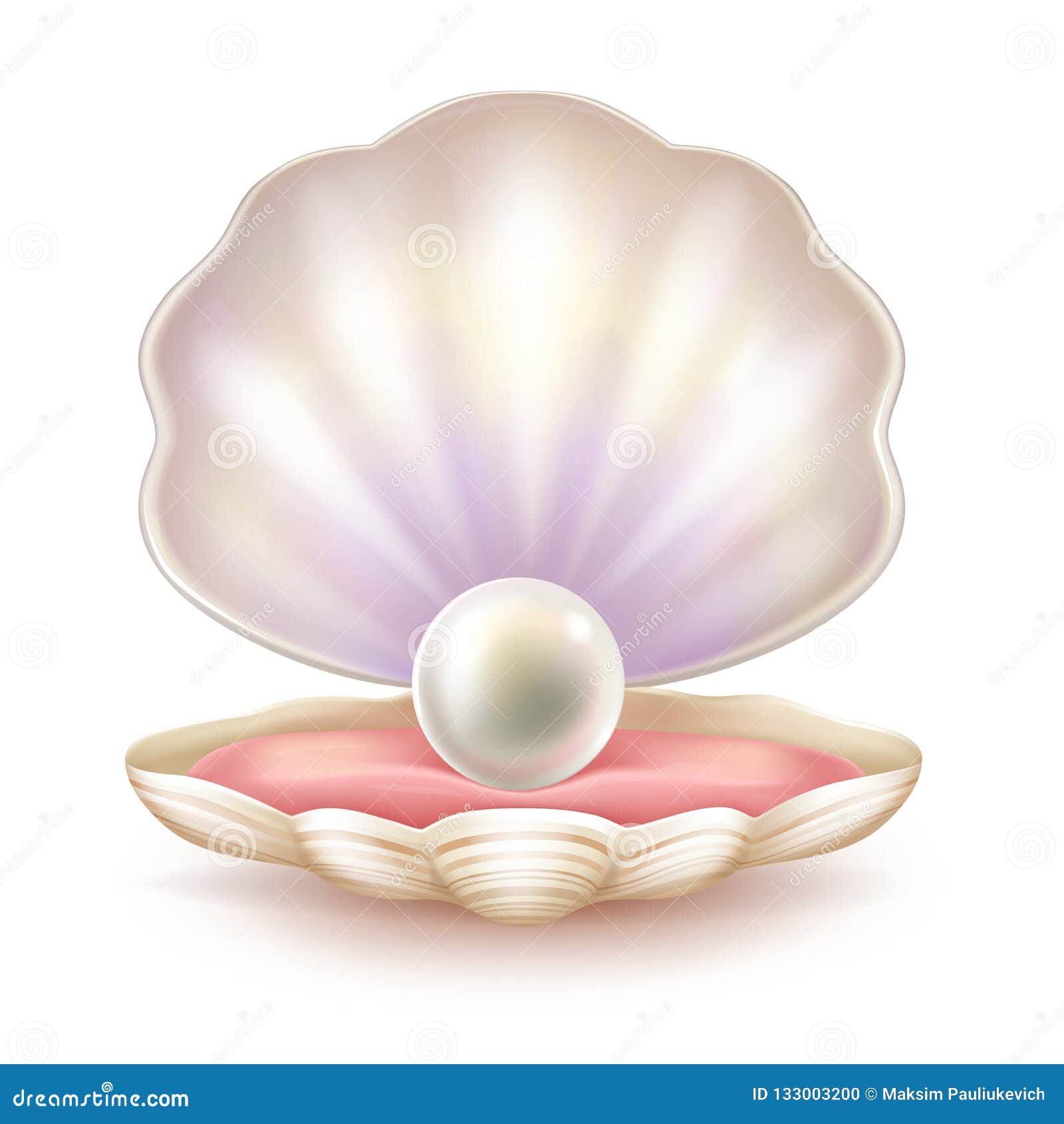 precious pearl in opened shell realistic 