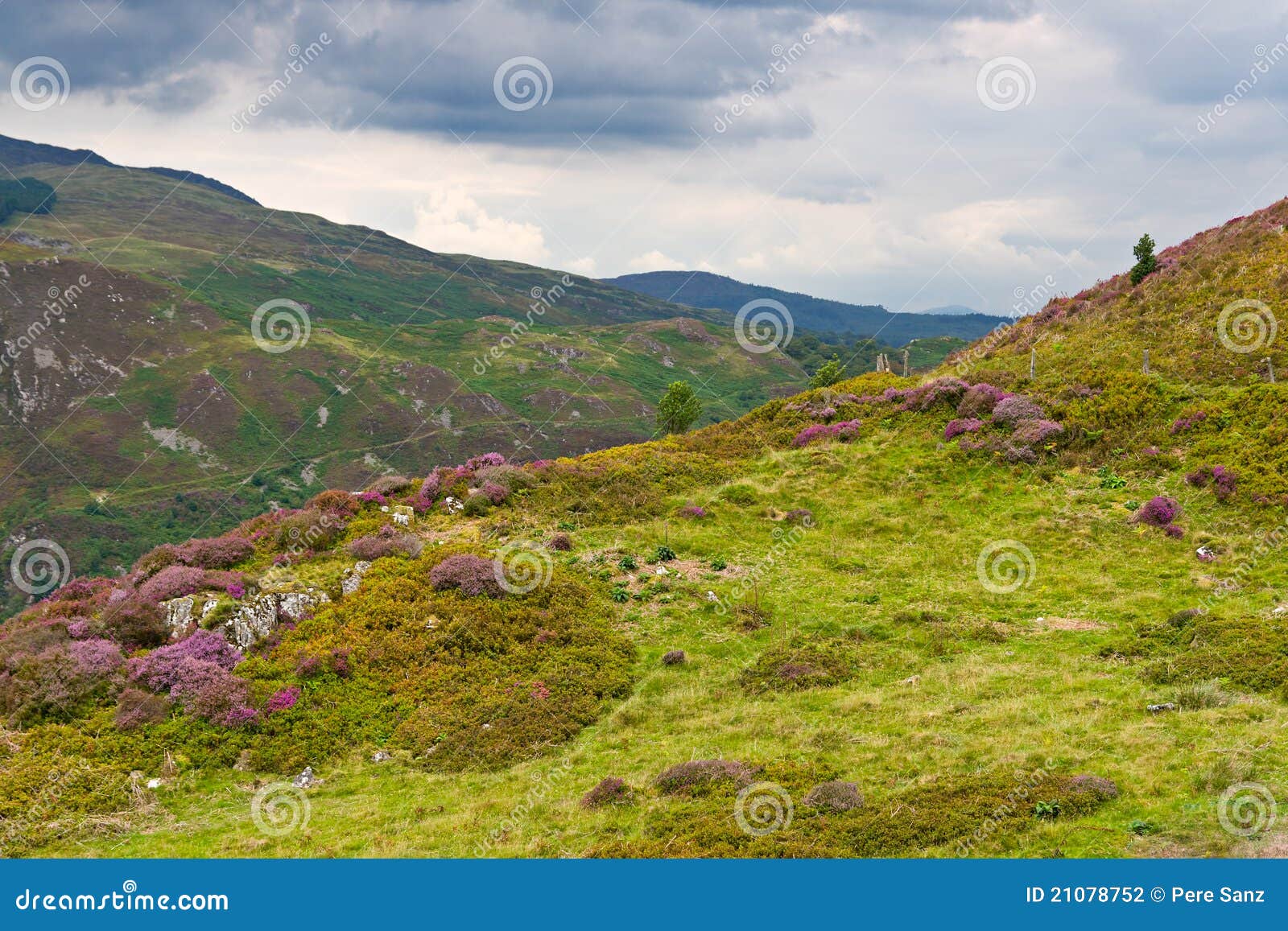 precipice walk in snowdonia