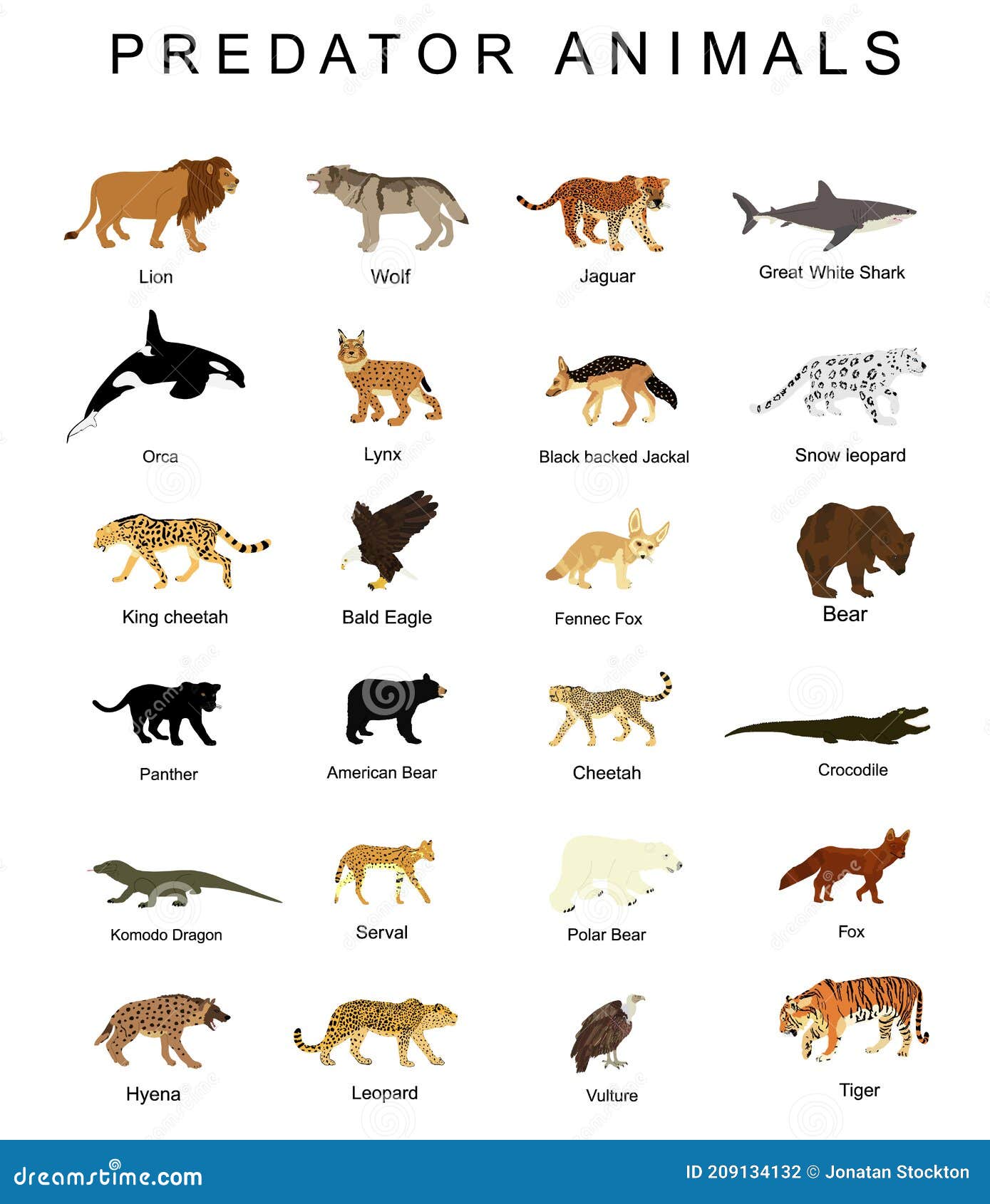 Predator Animals Set Vector Illustration Isolated on White Background. Wildlife Carnivore Collection. Most Danger. Stock Illustration - Illustration of cheetah, animals: 209134132 Predator Animals Set Vector Illustration Isolated on White Background. Wildlife Carnivore Collection. Most Danger. Stock Illustration - Illustration of cheetah, animals: 209134132