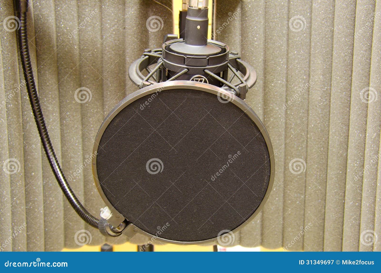 Professional Studio Microphone in Sound Booth Stock Image Image of