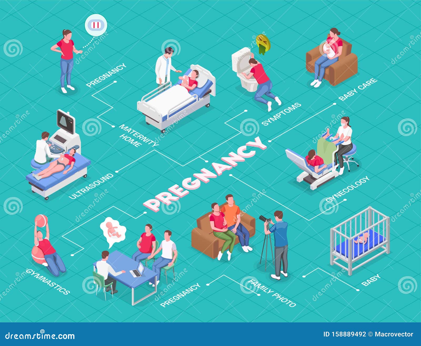 Pregnancy Isometric Flowchart Stock Vector - Illustration of medical