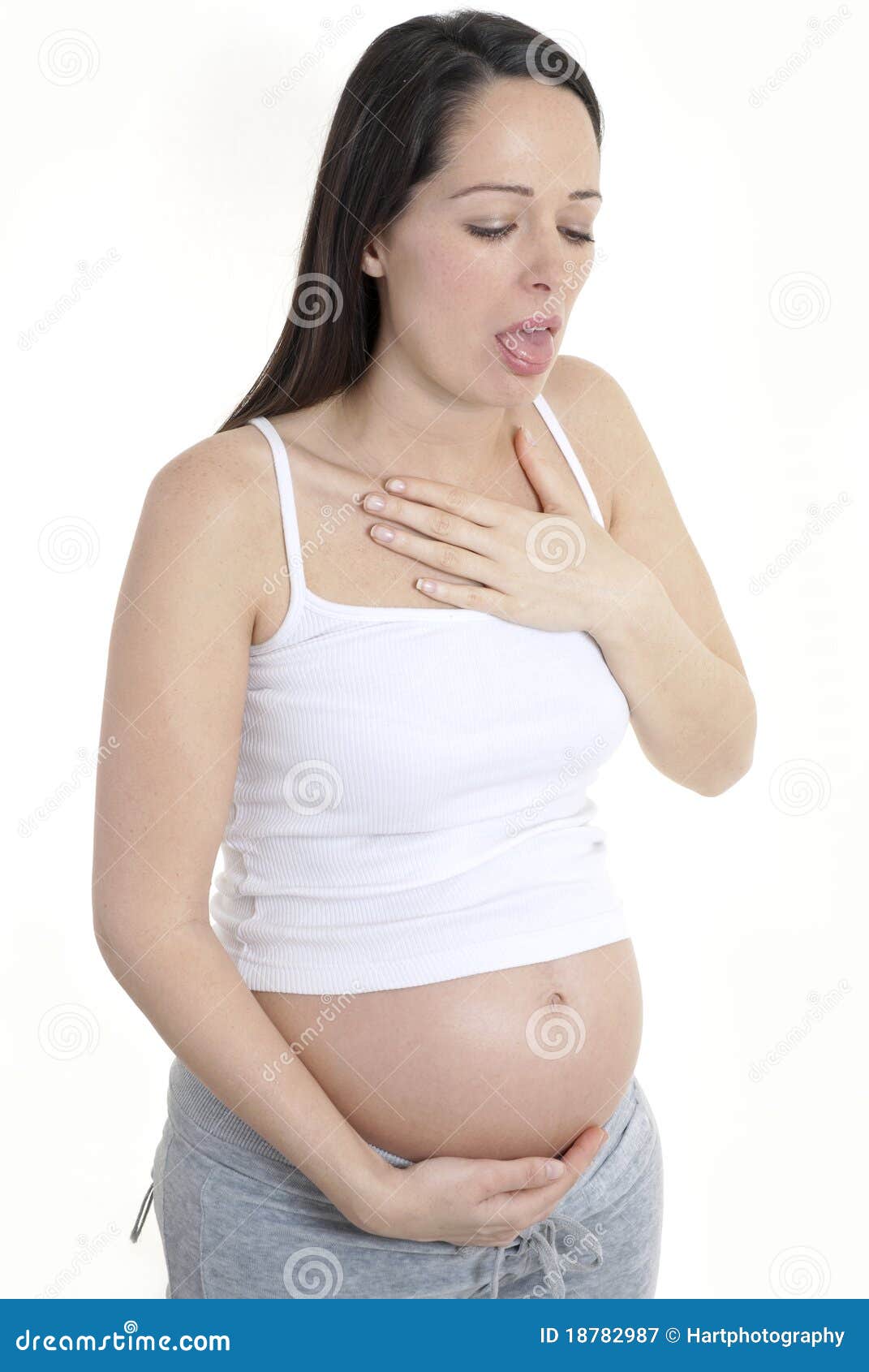 pregnancy morning sickness