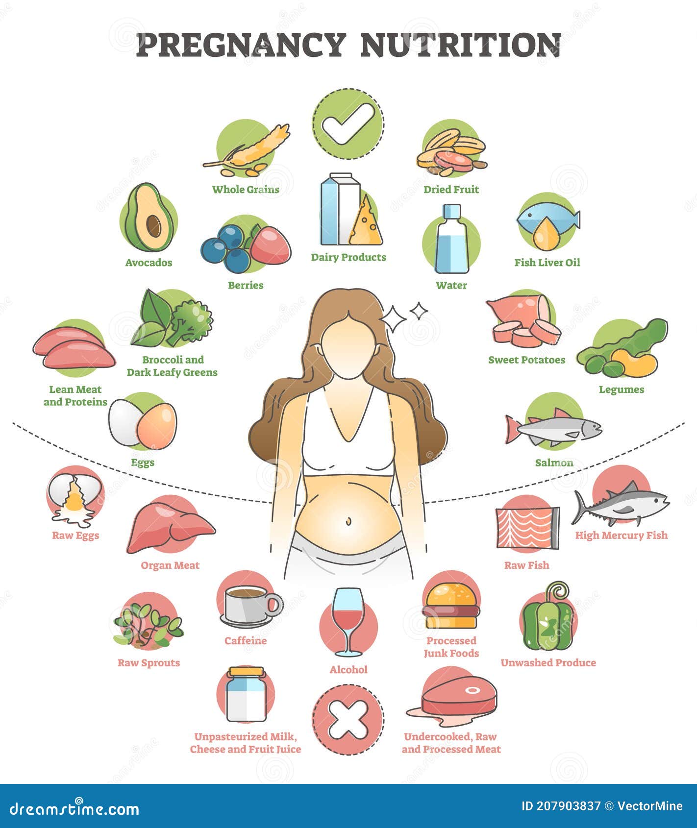 pregnancy nutrition with recommendation female food products outline concept