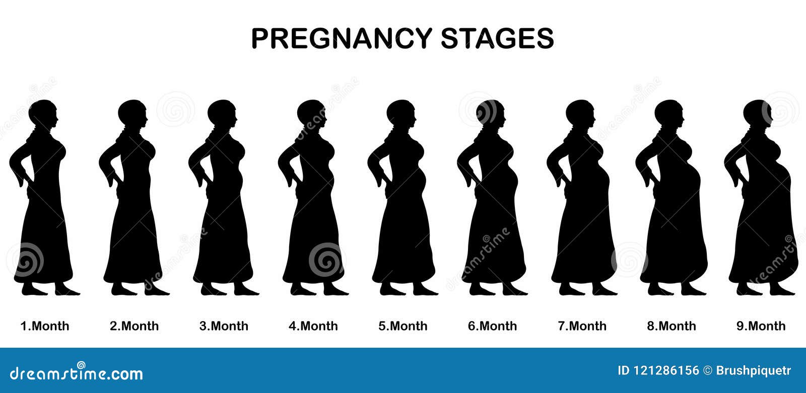pregnancy stages of a muslim woman silhouettes