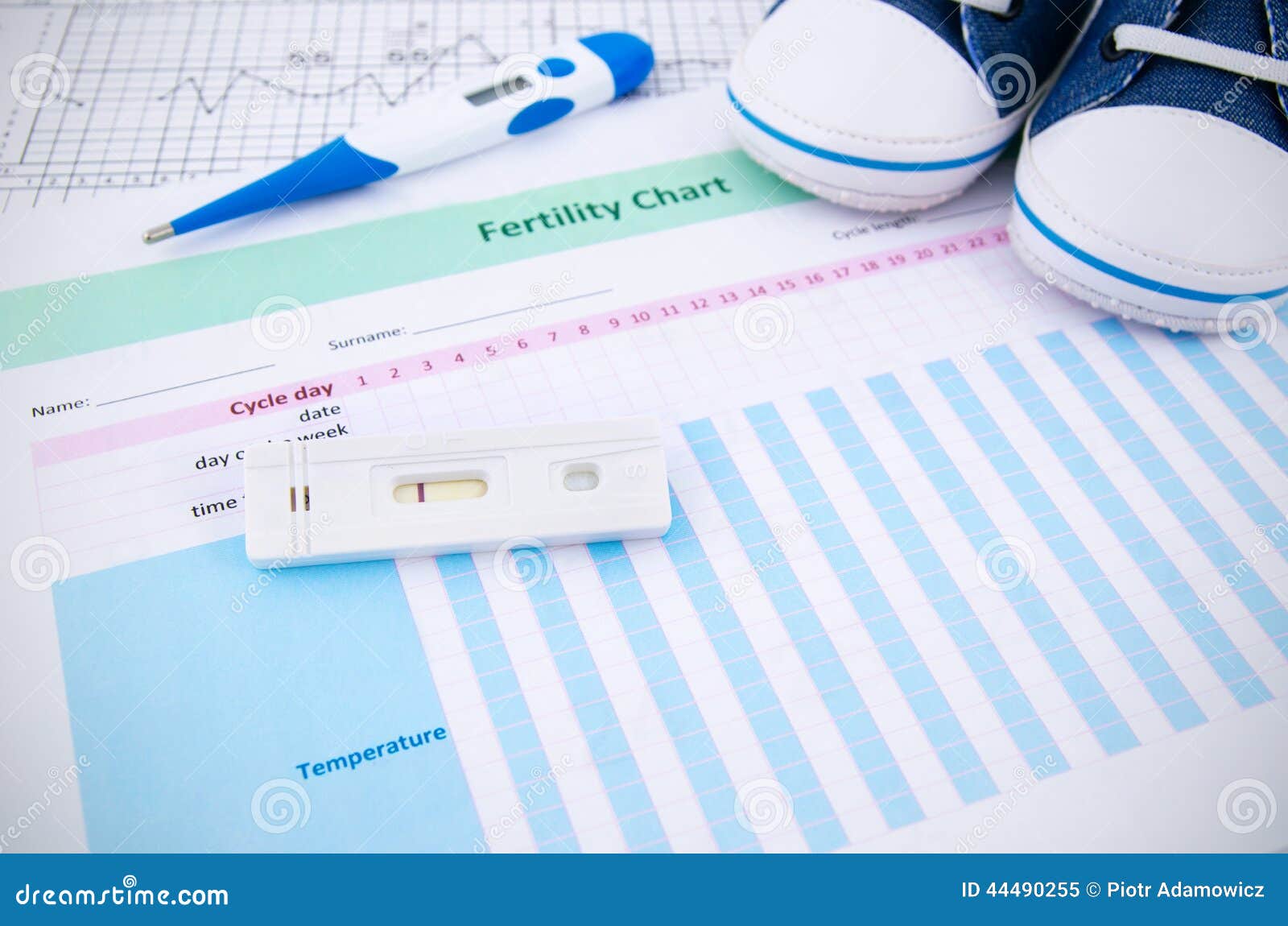 Pregnancy Test on Fertility Chart Stock Image Image of birth, female
