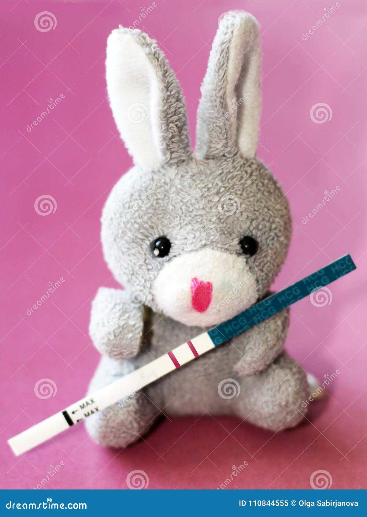 Pregnancy Test and Toy Rabbit Stock Image - Image of accessories