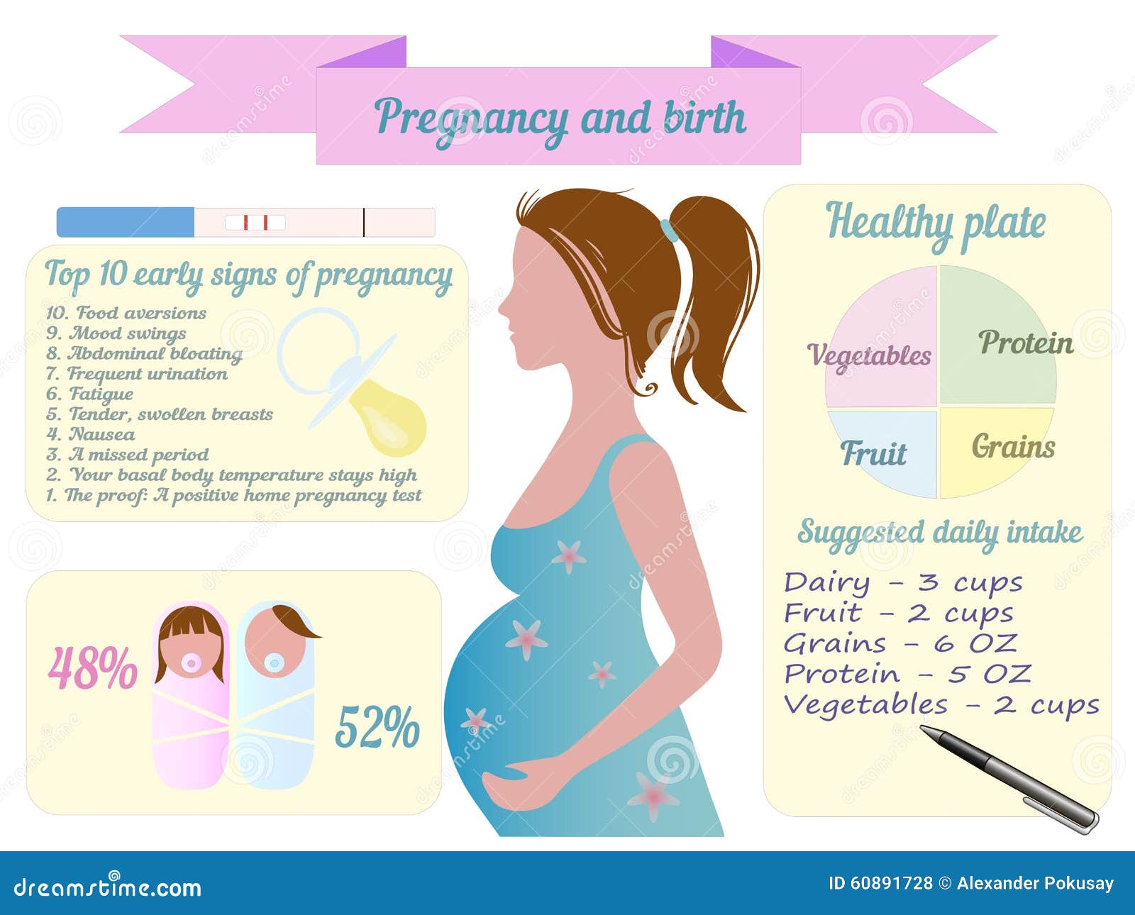 pregnancy trimester infographic 