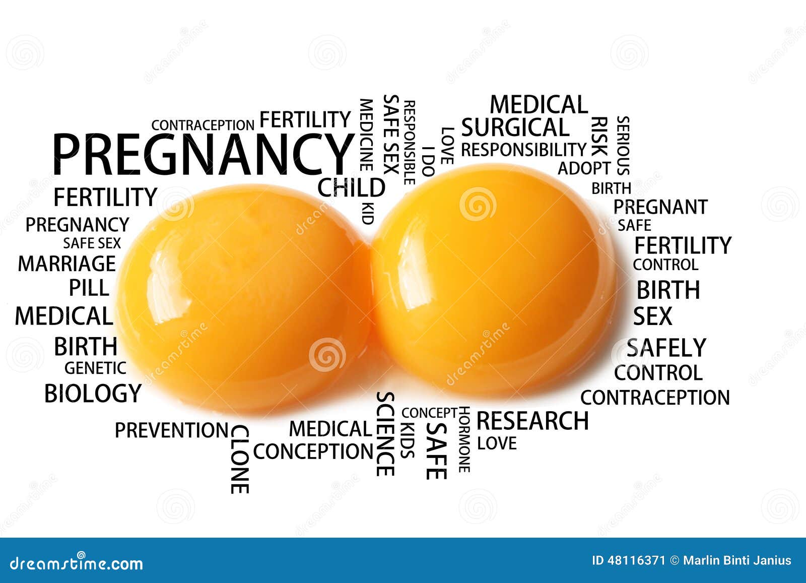 Pregnancy Wording Conceptual with Two Eggs Stock Image Image of
